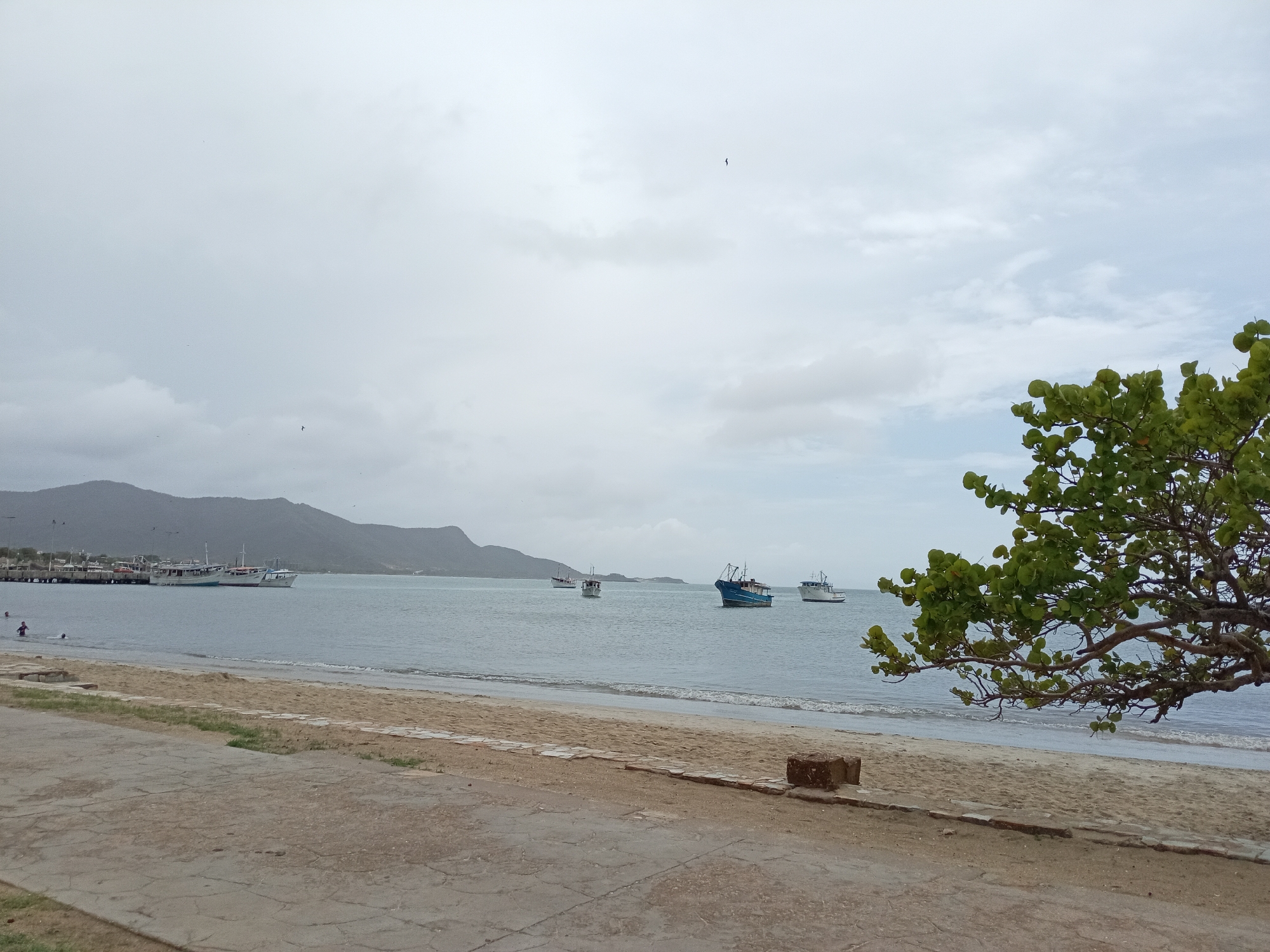 The image shows a wide, overcast view of a beach and the sea in Juan Griego, Venezuela. In the foreground, there is a paved walkway with some cracks, transitioning into a sandy beach. Further back, the calm sea stretches towards a distant, mountainous coastline. Several boats are visible on the water, including some docked at a pier on the left side of the frame. The sky is filled with grey clouds, suggesting overcast weather. A tree with green foliage extends into the right side of the frame, partially obscuring the view of the sea and sky. Two individuals are in the water near the shore on the left, appearing to be swimming or wading. The overall impression is a tranquil, coastal scene on a cloudy day.