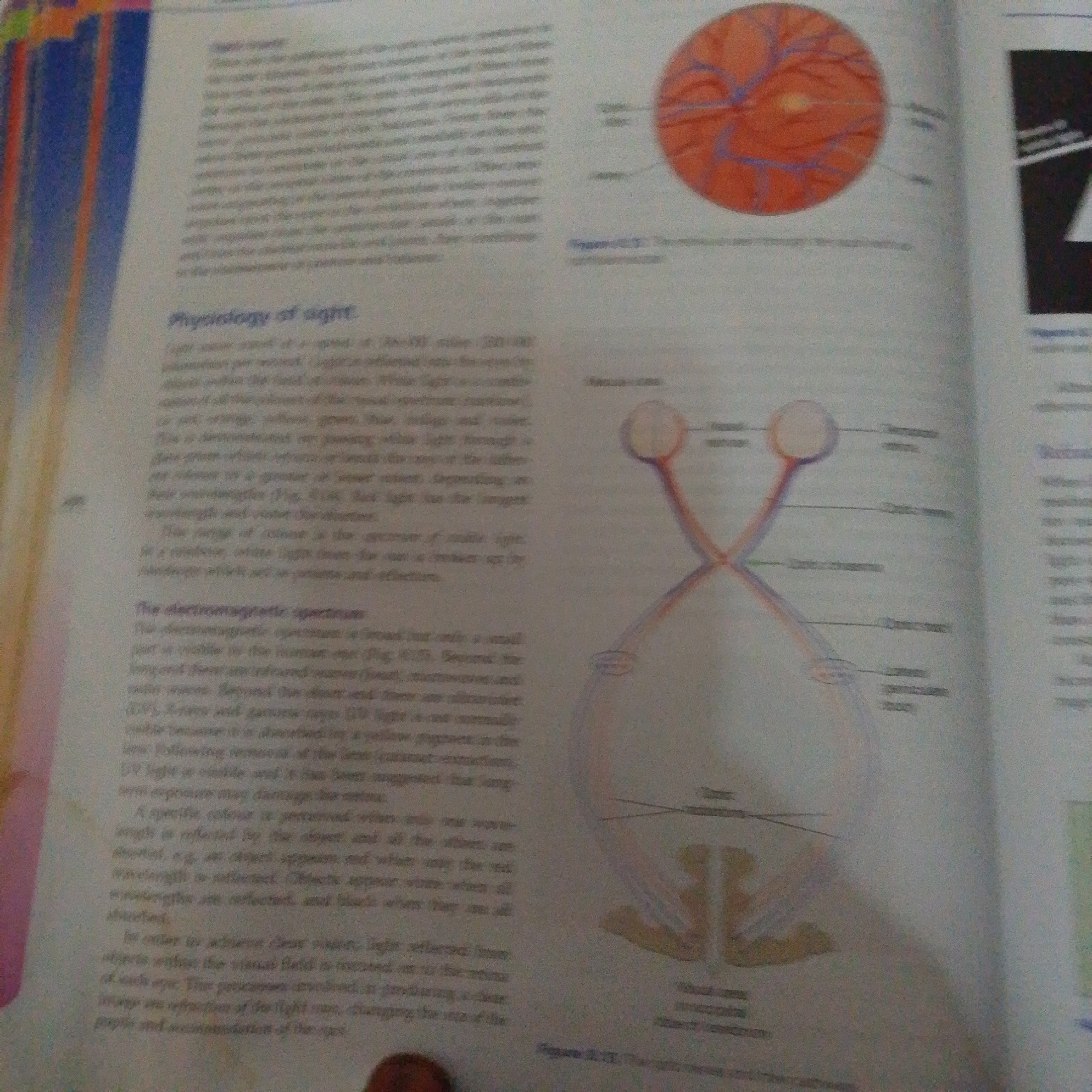 The image shows a page from a textbook discussing the physiology of sight and the electromagnetic spectrum. On the left side of the page, there is text explaining how light enters the eye and is interpreted by the brain. There is also a diagram illustrating the human eye and how light passes through it. On the right side of the page, there is an illustration of the human retina, showing blood vessels. Another diagram shows the electromagnetic spectrum, with different types of radiation labeled. The text on the page is clear and legible, and the illustrations are well-drawn and informative. The page is part of a larger book, which appears to be a science textbook. There is no information in the image that relates to the city of Jalingo, Nigeria.