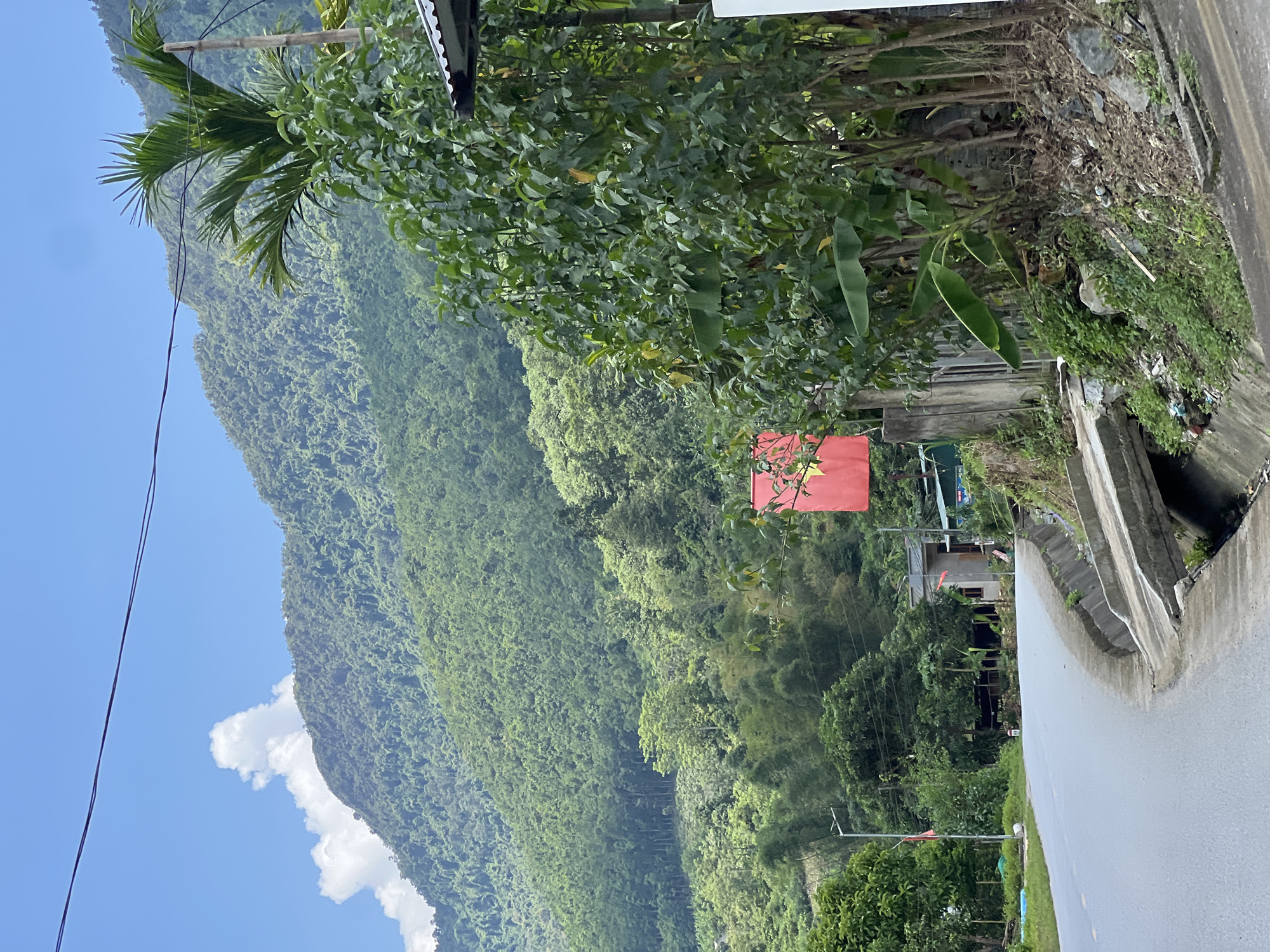 In Minh Tân Commune, Vietnam, a paved road curves gently to the left, bordered by a concrete drainage ditch and overgrown vegetation. In the foreground on the right, a dense cluster of trees, including banana plants, obscures a portion of a building with a corrugated metal roof. A red flag with a yellow star, the flag of Vietnam, hangs prominently on a pole to the left of these trees, partially visible behind another building.
In the mid-ground, a small concrete bridge spans the drainage ditch, with scattered debris visible on the embankment. Further back, a few low-rise buildings with reddish-brown roofs are nestled among trees, and a street lamp stands on the side of the road.
The background is dominated by a majestic, verdant mountain range covered in lush green trees and foliage, suggesting a rural or mountainous landscape. The sky above is a clear blue with a few scattered white clouds, indicating fair weather. The scene captures a typical view of a Vietnamese rural road winding through a landscape of natural beauty and local infrastructure.