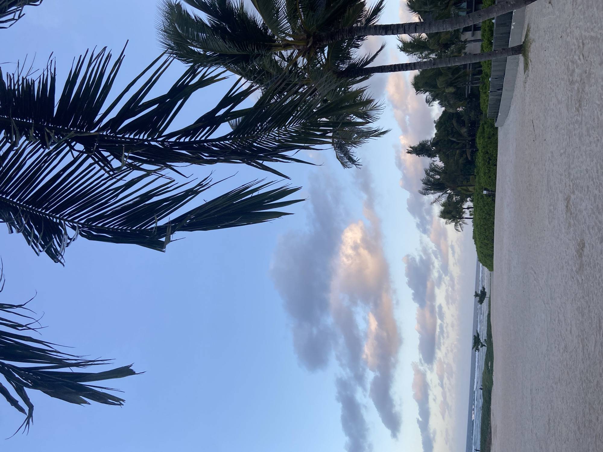 The image shows a beach scene in Kuta Selatan, Indonesia. The photograph is taken from a low angle, looking up towards palm trees. Palm fronds occupy the upper left portion of the frame. The right side of the image shows a sandy beach and some vegetation. The horizon line is visible in the distance, with the ocean visible along the horizon. The sky is filled with clouds.
