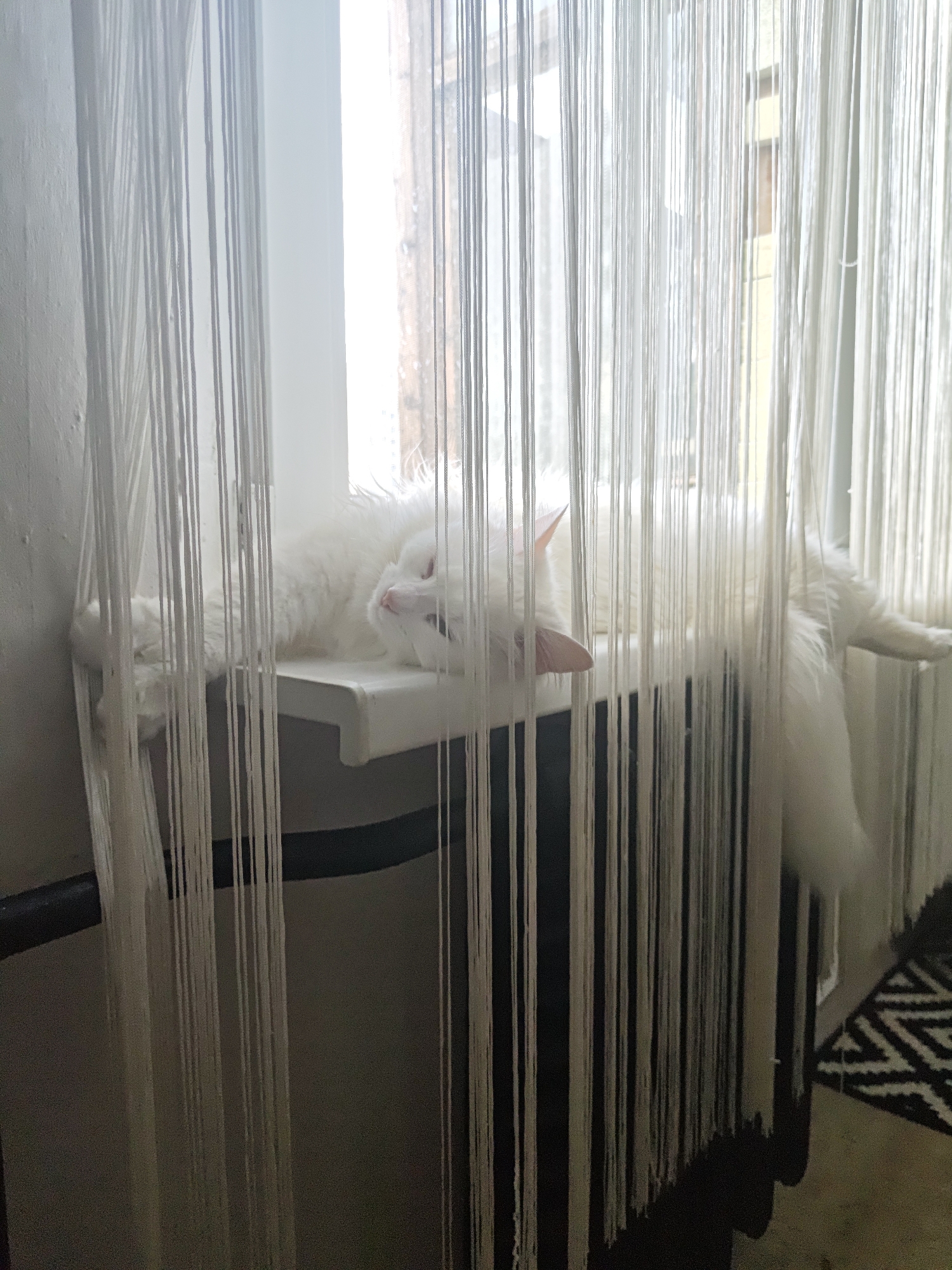 A white cat is lying on a white windowsill, partially obscured by a string curtain. The cat is resting its head on its paws and appears to be asleep or relaxed. The window behind the cat is letting in natural light, illuminating the scene. To the right of the cat, a portion of a black and white patterned rug is visible on the floor. The overall environment suggests an indoor setting, likely a room with a window. The location in Odesa, Ukraine is not deducible from the image.