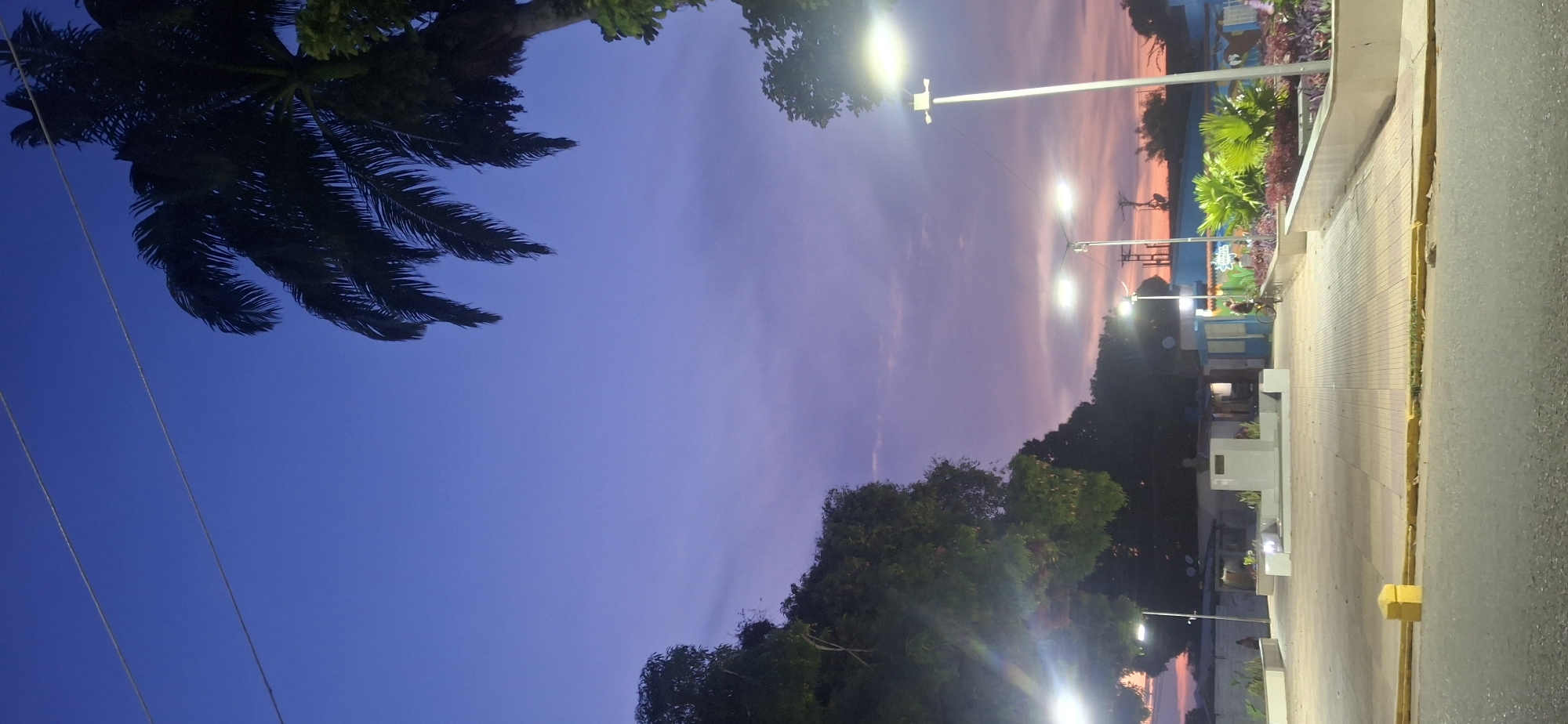 The image captures an evening scene in a public space, likely a plaza or street in Tinaquillo, Venezuela, during dusk or early evening. The sky displays a striking gradient of colors, transitioning from a deep blue on the left to a purplish-pink and soft orange on the right, characteristic of twilight.
On the far left, the dark silhouette of a palm tree, along with other foliage, frames the sky. Two power lines are faintly visible against the blue sky in the upper left. Throughout the midground, numerous streetlights are illuminated, casting bright glows and suggesting that it is dark enough for artificial lighting. More trees appear as dark silhouettes against the colorful sky in the middle and right sections of the image.
In the foreground and extending towards the right, a paved area, likely a sidewalk or pedestrian path, is visible. It is bordered by distinct yellow curbs that separate it from a road or street on the far right. White concrete benches or planters are intermittently placed along this path, some holding vibrant green plants. In the distance, on the right, there's a building adorned with colorful murals or decorations, predominantly blue. A small, indistinct silhouette of a person on a bicycle can be seen near this building. Another faint figure might be sitting on one of the benches further down the path.
The scene conveys a peaceful urban atmosphere as day turns into night, with the natural beauty of the sunset complementing the artificial illumination of the streetlights. No discernible text is visible.