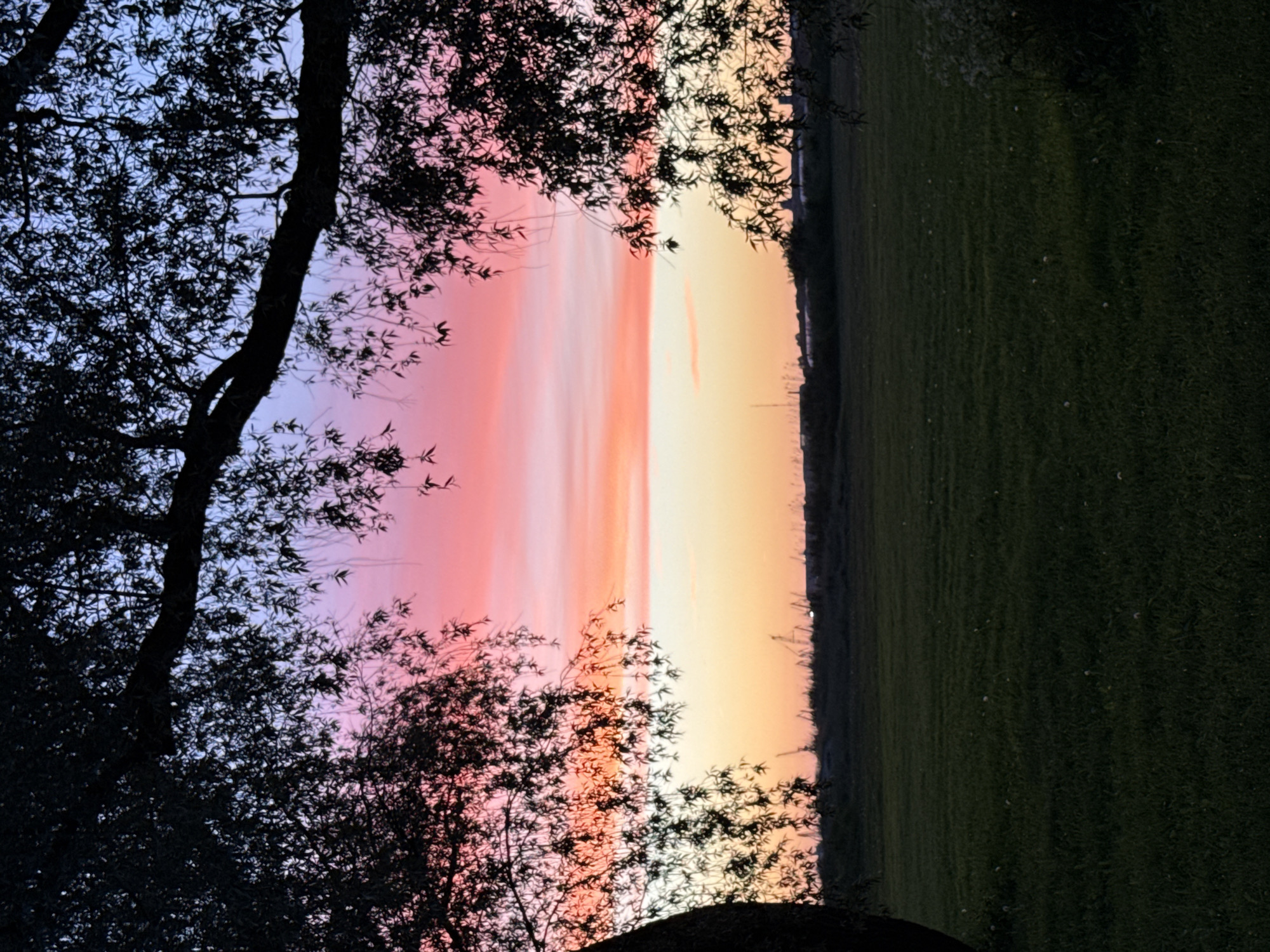 An outdoor, eye-level shot captures a serene sunset over a grassy field, framed by the silhouettes of trees on the left and right. The sky displays a gradient of colors, transitioning from a deep blue at the top to vibrant pinks and oranges closer to the horizon, suggesting the scene is likely set in Tallinn, Estonia. In the foreground, the dark green grass is sparsely dotted with white wildflowers. The background features a dark, indistinct line of vegetation and structures, possibly industrial cranes or buildings, against the colorful sky. The overall mood is tranquil and picturesque.