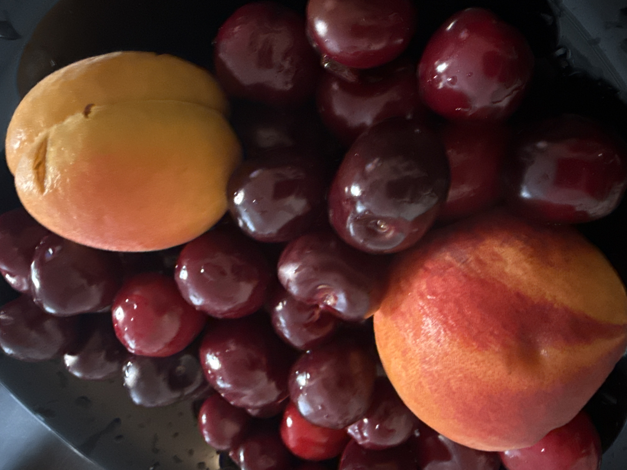 The image displays a close-up, high-angle view of various fresh fruits contained within a dark, possibly perforated bowl or colander, parts of which are visible on the left and bottom edges. The arrangement consists primarily of numerous dark red cherries, many exhibiting small water droplets on their glossy skins, indicating recent washing or freshness. One light orange-yellow apricot, characterized by its distinctive deep suture line, is prominently positioned near the top center. A larger peach or nectarine, with mottled red and orange-yellow skin, is located towards the bottom left/center, partially obscured by other fruits. The background is dark and appears to be out of focus, directing attention solely to the fruit arrangement. No discernible features within the image allow for the determination of a specific geographical location, including the city of Sofia, Bulgaria. There are no people, explicit actions, or direct interactions depicted.
