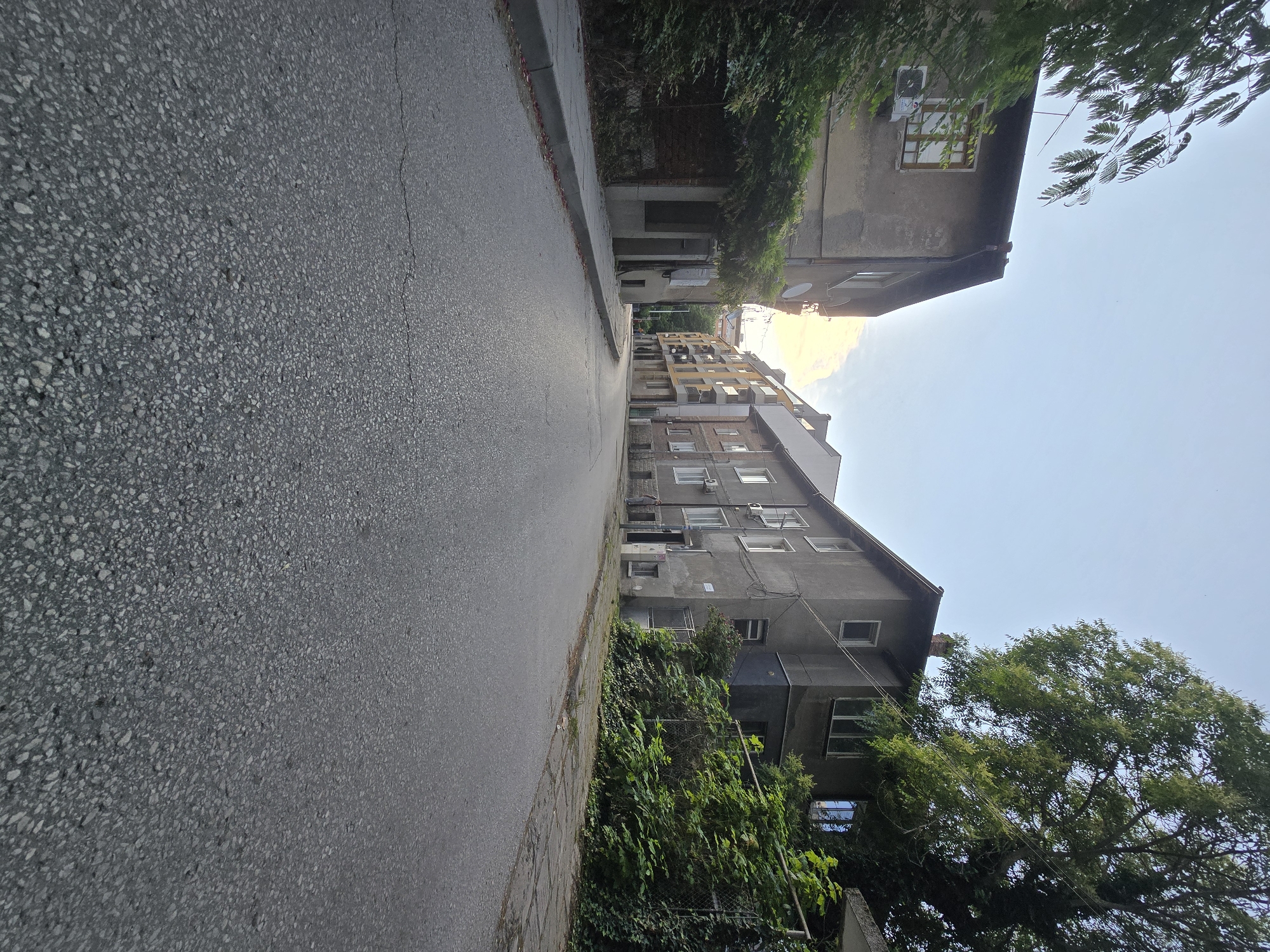 The image displays a narrow, paved street or alleyway viewed from a low angle, leading into the distance. The asphalt road dominates the foreground, showing a coarse, pebbled texture with a visible crack running lengthwise on the right side.
On the left side of the street, a sidewalk or curb separates the road from overgrown bushes and trees. Beyond the foliage, a multi-story building with a weathered facade is visible, featuring several windows and some exposed brickwork. On the right side, another, larger multi-story building stands. It appears to be an apartment block with multiple windows, some fitted with air conditioning units, and at least one satellite dish attached to its exterior. The building on the right is partially obscured by substantial green trees and ivy-covered fences in the foreground.
The sky is bright and clear, displaying a light blue hue that transitions into a warm yellow-orange glow near the horizon, suggesting either late afternoon or early evening. The overall lighting indicates a sunny day. No people or vehicles are visible in the scene, which appears quiet and residential. No discernible text is visible on any objects or buildings.