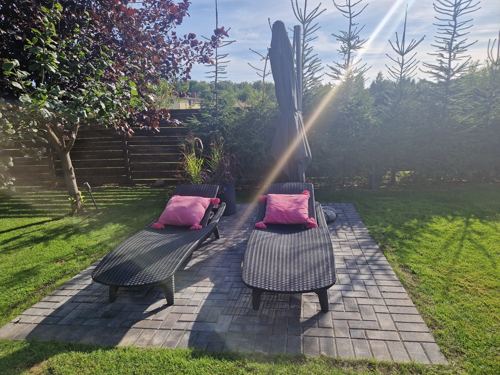 In Diržioniškės, Lithuania, a sunlit outdoor scene depicts a paved patio area with two dark wicker lounge chairs, each adorned with a pink fringed cushion. The patio is bordered by a lush green lawn. Behind the lounge chairs, a dark gray umbrella is folded and tied. A tree with dark red and green leaves stands to the left, casting a shadow on the grass. The background features a dark wooden fence, several evergreen trees, and a clear blue sky with scattered clouds. The sun's rays create a lens flare effect, diagonally across the upper right portion of the image.