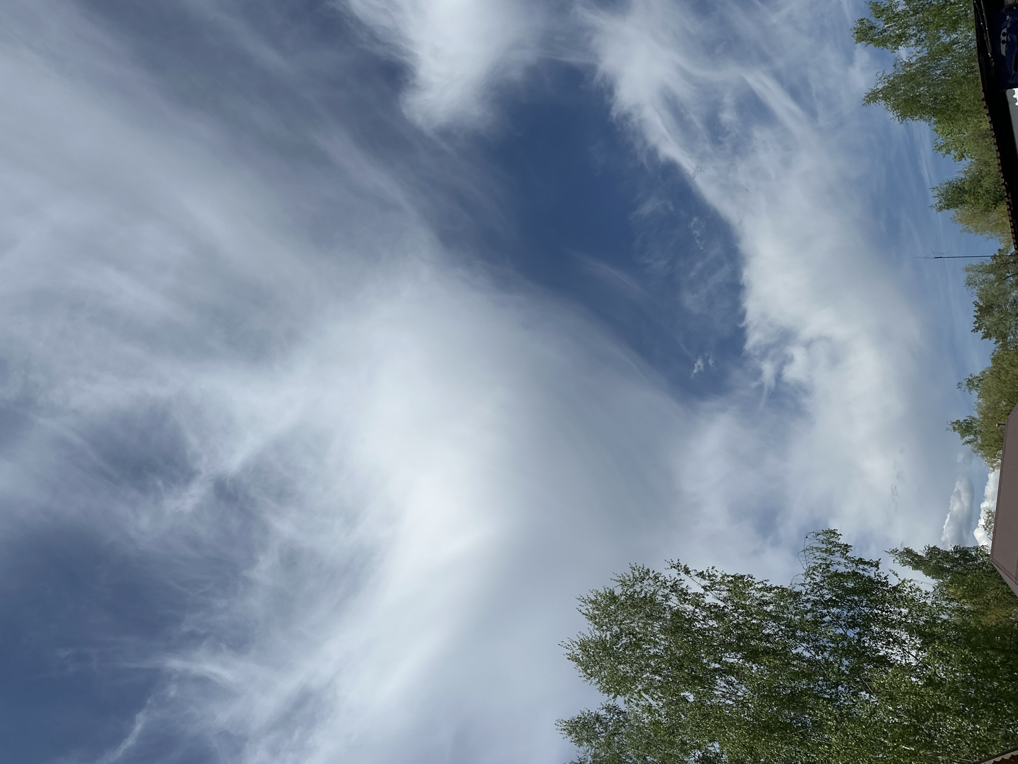 The image shows a view of the sky with cirrus clouds. The sky is blue with varying degrees of cloud cover. In the foreground, there is foliage from trees visible in the corners of the frame. The angle of the shot is looking upwards. The photo appears to be taken during the daytime. It is impossible to verify the location as Chaikovsky, Russia based on the visual content of the image alone.