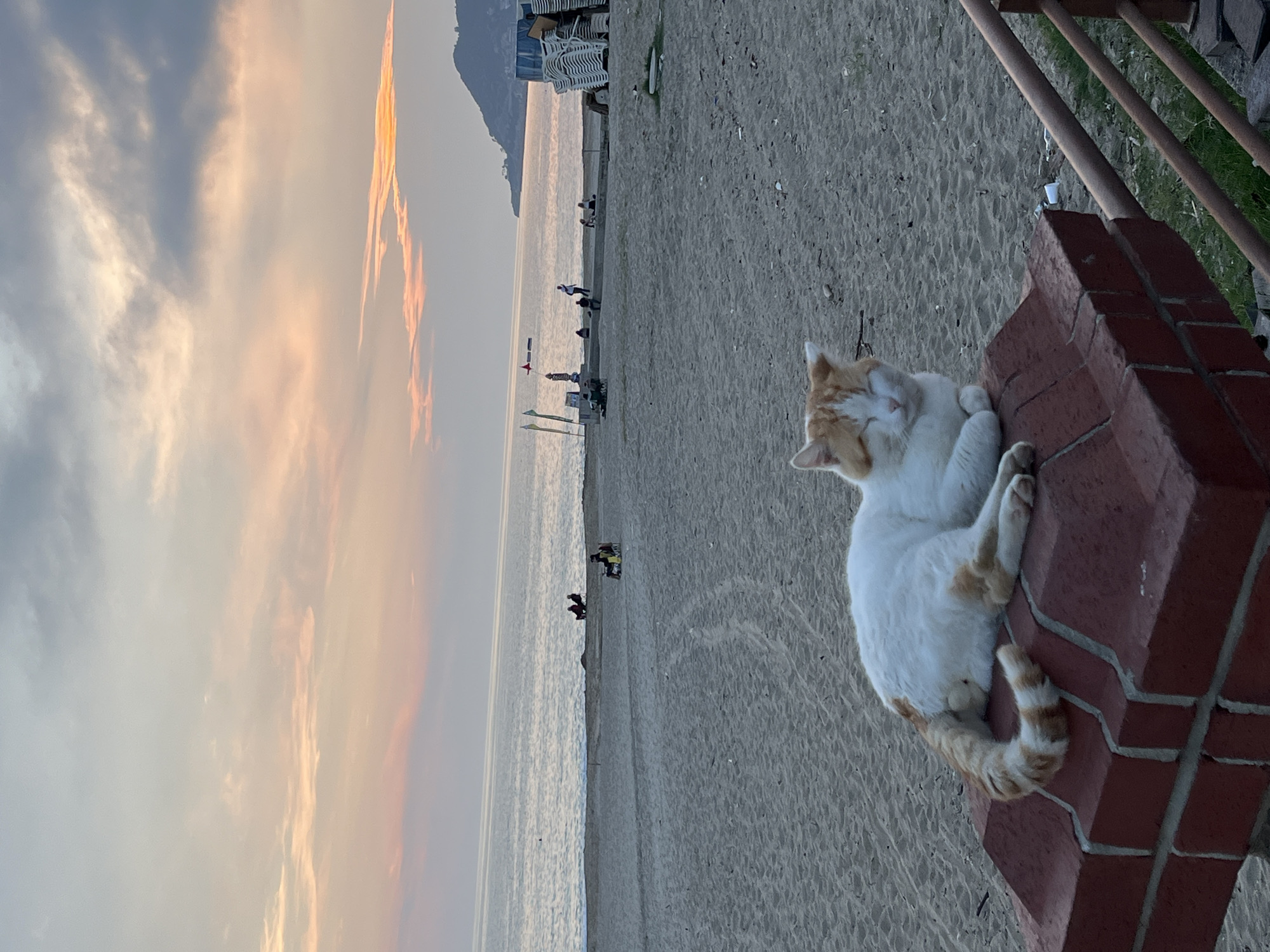 This image captures a serene beach scene, likely in Alanya, Turkey, during the gentle light of either sunrise or sunset. In the foreground, an orange and white cat is comfortably resting or sleeping on a reddish-brown brick structure, its eyes closed, body curled, and tail striped.
The sandy beach stretches into the midground, meeting the calm waters of the sea. Scattered along the shoreline are several small figures of people; some appear to be relaxing on beach chairs, while others stand near the water's edge. Further down the beach, stacks of white loungers are visible. A small, possibly weathered, wind vane or similar instrument stands near the water.
In the distance, a prominent mountain or large hill rises, bordering the beach. The sky above is painted with soft, warm hues of orange, pink, and light grey, characteristic of the golden hour. The overall atmosphere of the image is peaceful and tranquil. There is no visible text in the scene.