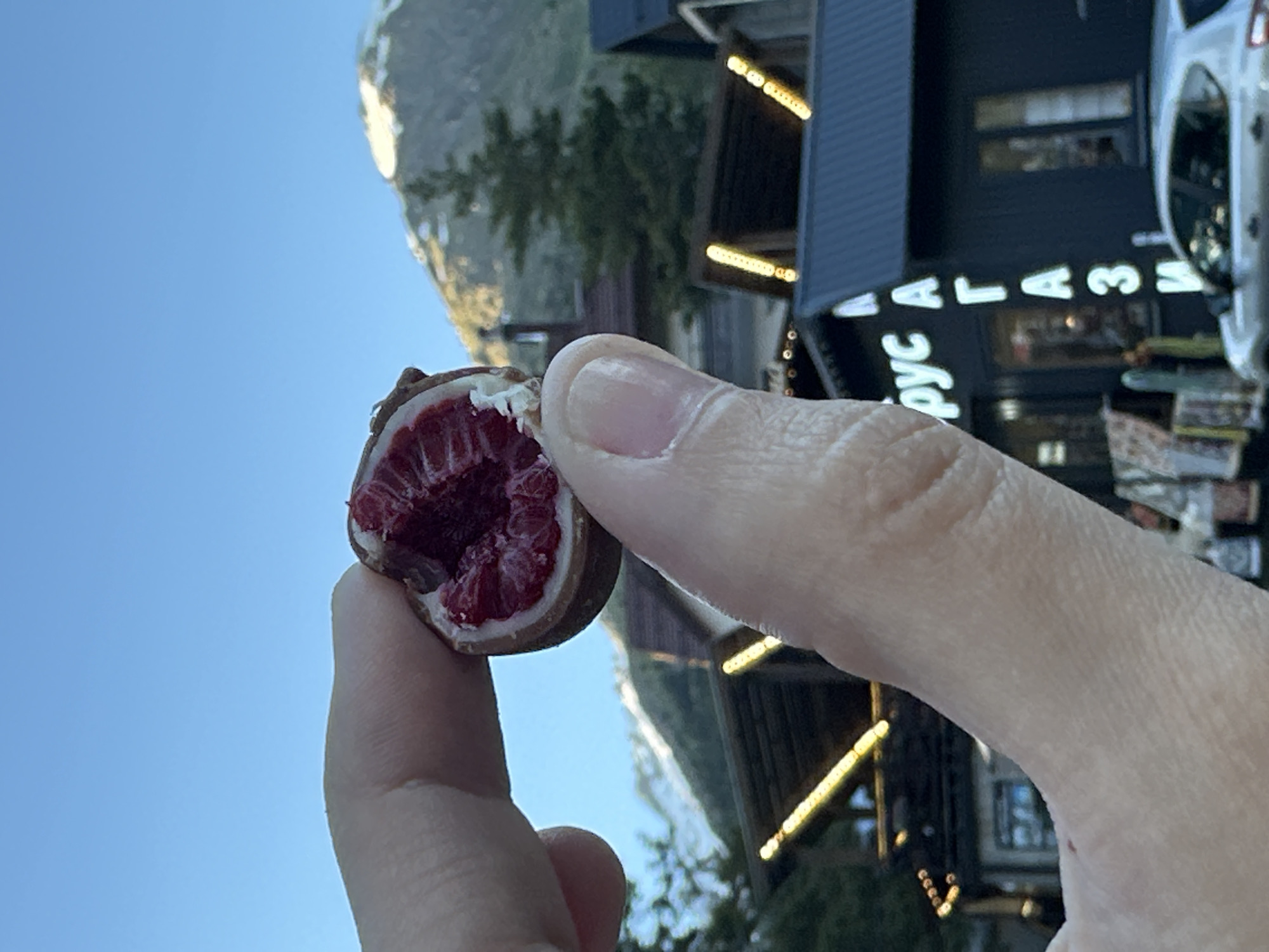 A close-up, slightly blurry photograph shows a person's thumb and index finger holding a chocolate-covered raspberry against a backdrop of mountains and buildings. The raspberry is halved, revealing its bright red interior. In the background, a dark-colored building with illuminated signs is visible, featuring Cyrillic lettering that appears to say "рус" and "МАГАЗИ". The building also has several windows and a dark roof. A silver car is parked in front of the building. Beyond the building, evergreen trees are scattered on the slopes of snow-capped mountains under a clear blue sky. The overall scene suggests a commercial area in a mountainous region, likely a resort town. The sign suggests the location might be a store or market in Terskol, Russia, given the Cyrillic script and mountainous setting.