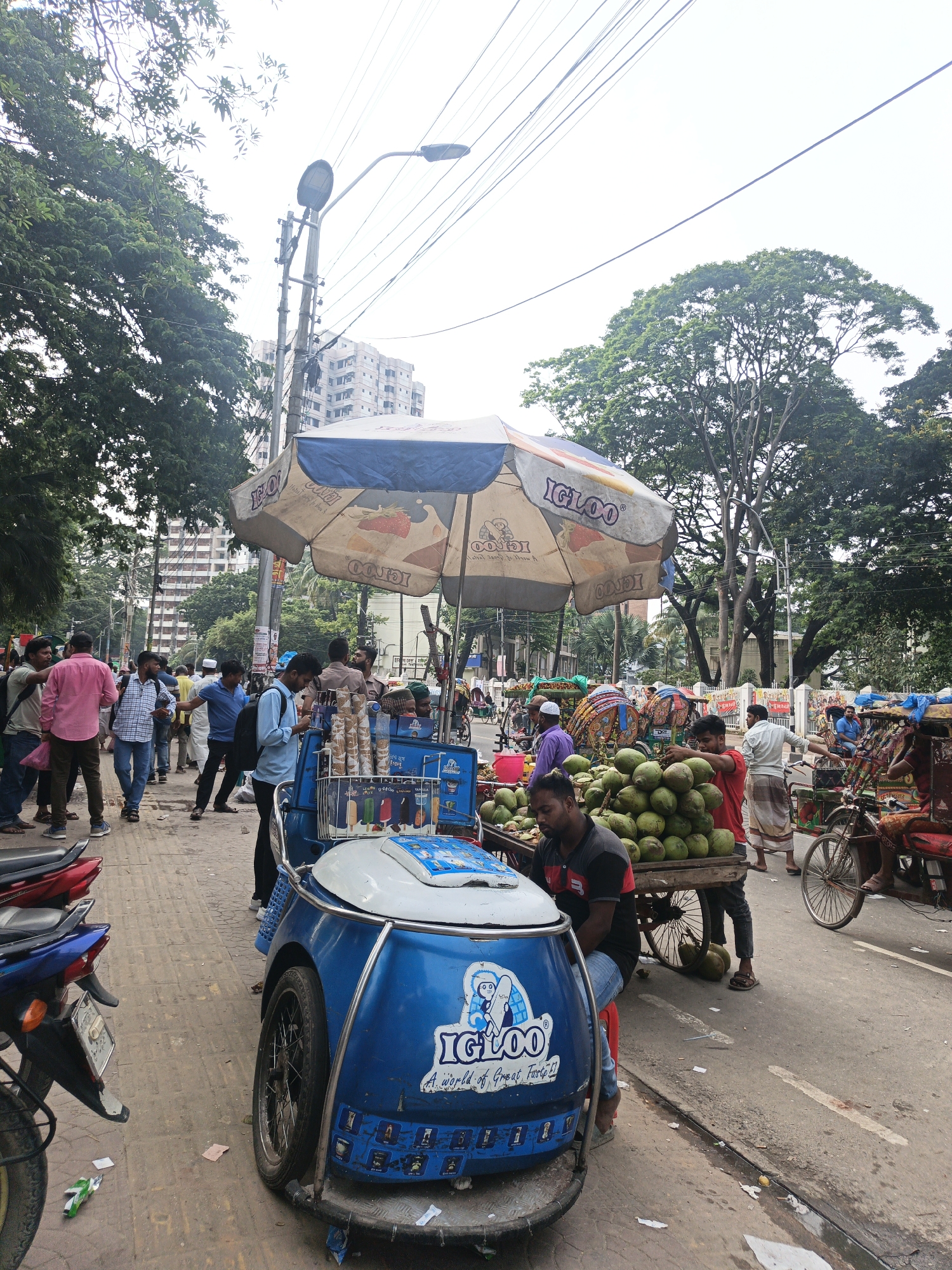 This media file depicts a bustling street scene, likely in a South Asian country, on an overcast day. The primary focus is on a vibrant blue ice cream cart with "IGLOO" branding, including a cartoon igloo mascot and text that reads "A world of Great Taste!". The cart is adorned with images of ice cream bars.
A man, dressed in a black and red striped shirt and blue jeans, sits on a red stool next to the ice cream cart, appearing to be tending to it. In the background, a cart laden with a large pile of green coconuts is visible, with a man in a white shirt and sarong standing nearby. Other individuals are seen walking along the paved sidewalk, engaged in conversations or moving about their day. Several motorcycles are parked on the left side of the image.
The setting is a city street, indicated by the presence of buildings in the background, a lamppost, and overhead power lines. Lush green trees line the street, providing shade and contributing to the urban but natural atmosphere. The overall impression is one of daily life and commerce, with vendors and shoppers interacting in a lively environment. The cloudy sky suggests the weather is not particularly sunny, and the overall mood appears active and ordinary.