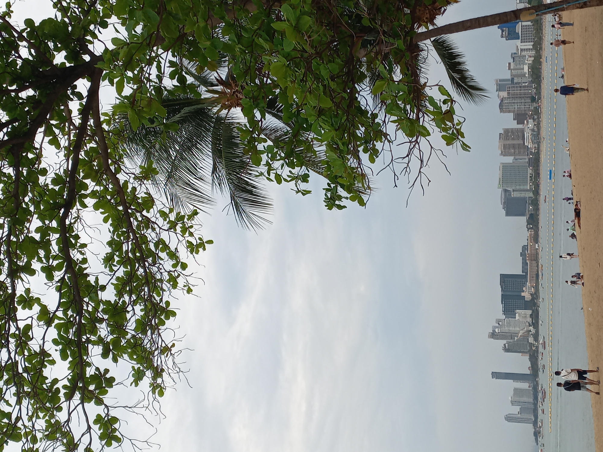 View from underneath trees looking at a city skyline. The buildings include both high-rise hotels and office buildings, and are situated on the shoreline, with a strip of beach between the buildings and the water's edge. A line of yellow floats can be seen in the water. People walk along the sand in various stages of dress. The buildings are located in the city of Pattaya City, Thailand.