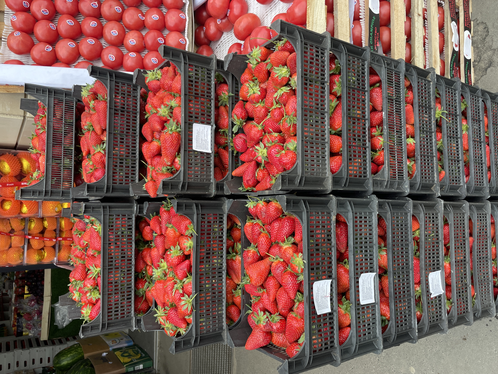 The image depicts a market stall in what is suggested to be Kazan, Russia. There are rows of black plastic crates densely packed with strawberries. Adjacent to the strawberries are arrangements of red tomatoes in similar crates, and wrapped oranges. The crates are placed on the ground/pavement of the market. The image is taken from an elevated angle, looking down at the produce. There are no people visible in the frame. The lighting suggests it is daytime, and possibly outdoors, although this is not definitive.
