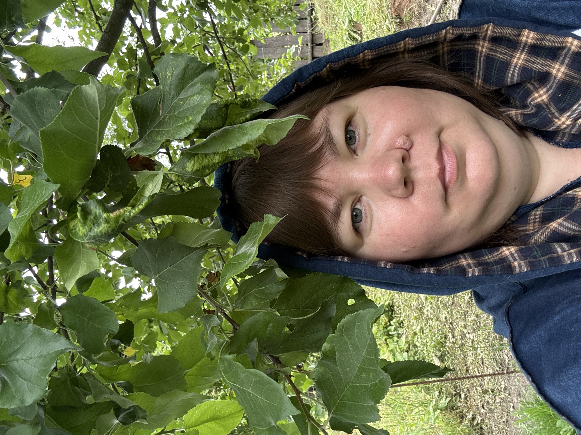 A close-up, waist-up selfie of a woman is captured outdoors, with lush green leaves of a tree partially obscuring the top of the frame. The woman, with medium-brown hair, wears a dark blue hooded sweatshirt with a plaid lining visible around the hood and collar. Her head is slightly tilted, and she is looking directly at the camera. She has fair skin, noticeable redness on her cheeks, and grey-blue eyes. A raised, flesh-colored growth is visible on the bridge of her nose. The background consists of a grassy yard with a weathered wooden fence visible in the distance. The overall setting suggests a rural or suburban environment, possibly a backyard in Ильпанур, Russia, given the presence of deciduous trees and a rustic fence.