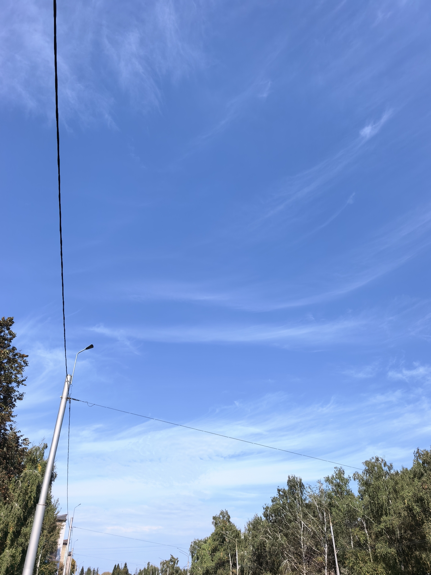 A bright, clear blue sky with scattered wispy white clouds dominates the upper portion of the image. In the lower left quadrant, a tall, grey, tilted lamppost with a black lamp fixture is visible. A thick black wire runs vertically down the left edge of the frame. To the left of the lamppost, a portion of a tree with dark green foliage is visible. Towards the bottom and right of the image, a line of deciduous trees with green leaves stretches across the frame, their branches reaching upwards towards the sky. A few other lampposts and power lines are sparsely distributed among the trees. The overall impression is an outdoor urban or suburban scene under a sunny sky. The location is identified as Sterlitamak, Russia, implying this is a street or park scene within that city. There are no people or animals visible in the image.
