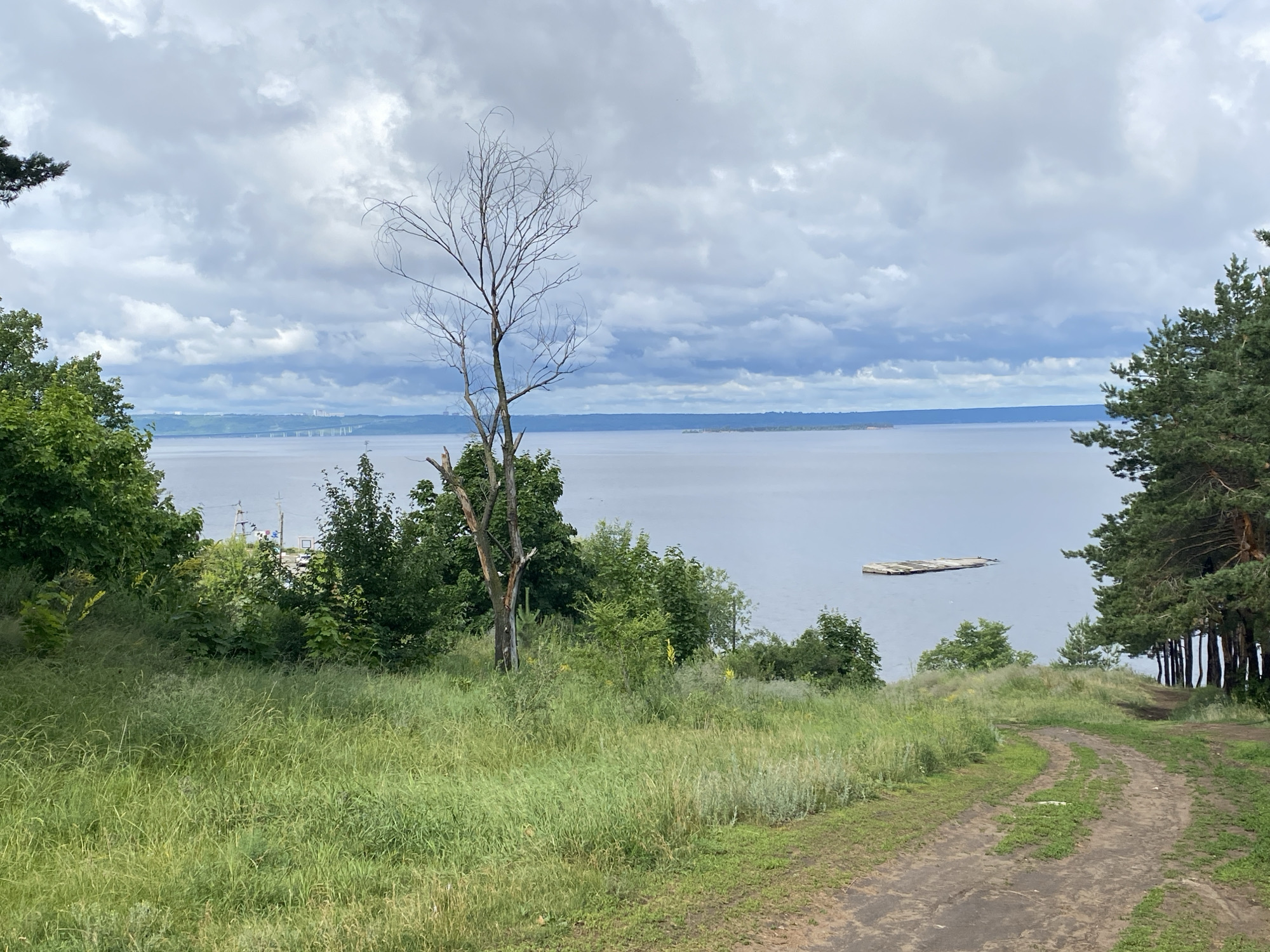 This image captures a serene natural landscape under a cloudy sky. The foreground features a grassy hill with a dirt path winding upwards. Various trees and lush green vegetation dominate the midground, with a prominent bare tree standing out. In the distance, a wide body of water stretches to the horizon, with a distant bridge visible on the left and a floating structure on the water. The weather appears overcast, suggesting a cool, possibly damp day. The overall mood is peaceful and natural, evoking a sense of quiet contemplation. The location appears to be a hilly area near a large body of water, possibly a river or lake, consistent with the Leninsky, Russia location context. No people or text are visible in the image.