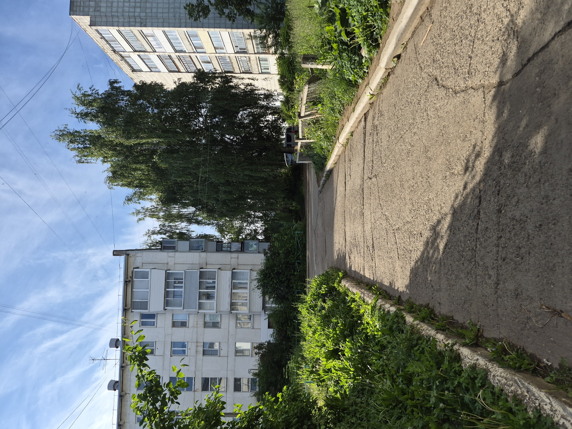 This image captures a bright, daytime scene in a residential area, consistent with a city environment like Chaikovsky, Russia. The perspective looks along a paved path, flanked by greenery and multi-story apartment buildings.
On the left side of the frame, a segment of a tall, light-colored residential building with many windows is visible. In the middle ground, large, lush green trees, possibly birches, form a prominent natural element, partially obscuring the view of the buildings and the distance.
To the right, another multi-story apartment building stands, featuring various window styles, some with enclosed balconies. Its roof is equipped with several antennas and what appear to be satellite dishes. Overhead, the sky is a clear blue with scattered wispy clouds, and utility wires crisscross the frame.
A paved pathway, likely asphalt or concrete, runs across the foreground and into the distance, showing signs of age with noticeable cracks. This path is bordered by a concrete curb and dense, vibrant green grass and bushes, which thrive in the bright sunlight. Further down the path, behind the trees, a white van and another vehicle are partially visible.
The strong, direct sunlight casts distinct shadows on the path and foliage, indicating a clear, sunny day, likely morning or afternoon. The overall atmosphere is quiet and mundane, depicting an ordinary residential street. There is no visible text in the image.