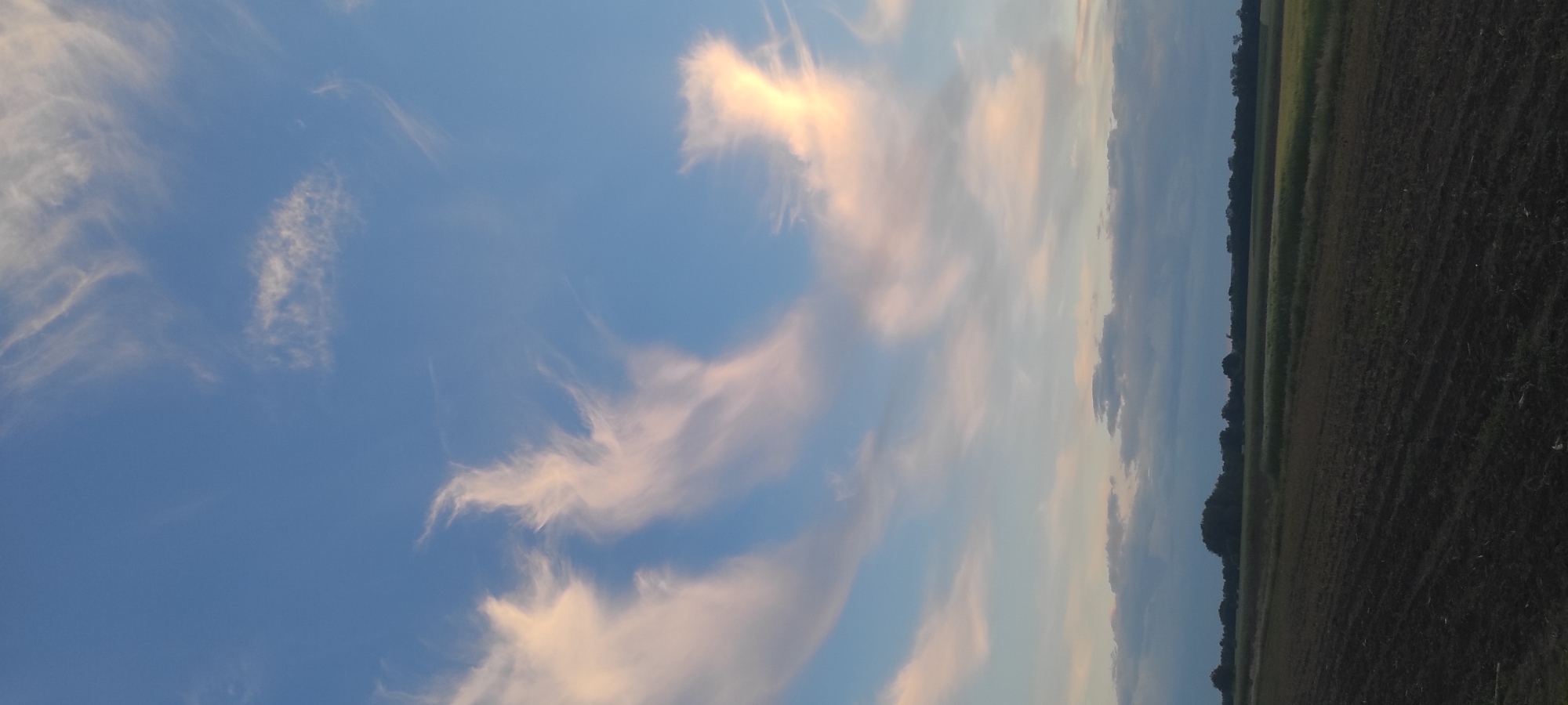 This is a vertical, medium shot photograph of a rural landscape in Kobeliachok, Ukraine, during what appears to be late afternoon or early evening. The sky dominates the upper two-thirds of the frame, displaying a gradient of blue from a deep azure at the top to a lighter, softer hue near the horizon. Scattered across the sky are wispy, feathery clouds, tinged with delicate shades of pink and white, catching the fading sunlight.
Below the sky, a dark, treeline stretches horizontally across the midground, forming a silhouetted border between the sky and the fields. This treeline is dense and appears to be composed of deciduous trees.
The foreground is a cultivated field, showing dark, tilled earth with visible rows of furrows running diagonally from the bottom left to the upper right of the frame. The soil appears rich and dark. To the right of the tilled field, a strip of green vegetation, possibly a crop or grassland, is visible. The overall atmosphere is serene and natural, indicative of an agricultural setting. There are no people or man-made structures immediately visible in the frame.