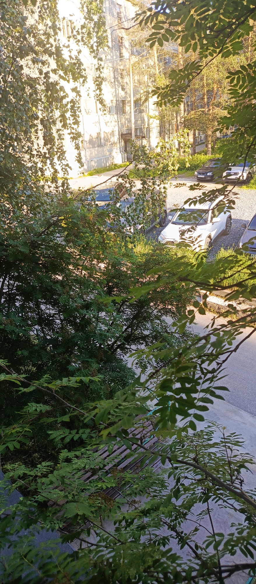 A high-angle shot captures a residential courtyard in Polarnie Zori, Russia, bathed in the warm glow of late afternoon sun. Lush green foliage from trees partially obscures the view of a multi-story concrete building, its facade weathered and discolored. Adjacent to the building, a gravel parking area is occupied by several parked cars, including a white SUV in the foreground and darker sedans further back. The ground is a mix of gravel and sparse grass, with a concrete pathway or road visible in the lower portion of the frame. A wooden bench is situated on the path, also partially covered by leaves. The scene suggests a typical urban residential setting, with elements of nature integrated into the built environment.