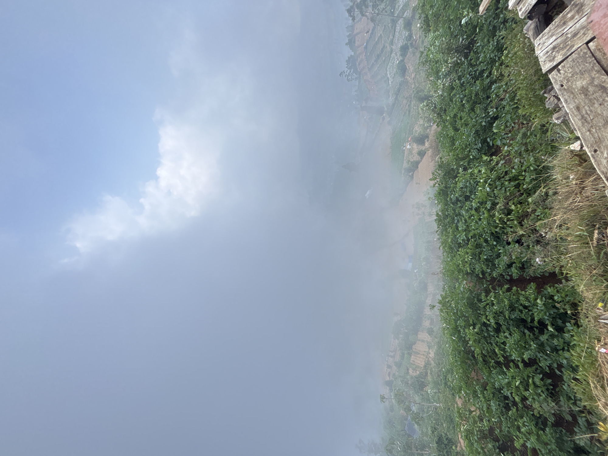 The image captures a hazy, mountainous landscape in the village of Sikunang, Indonesia. The scene is dominated by a thick mist that obscures much of the background, creating a serene and ethereal atmosphere. In the foreground, vibrant green foliage blankets the slopes, suggesting a lush, agricultural area. Terraced fields are visible in the middle ground, indicating cultivation, with hints of red roofs suggesting scattered dwellings. The sky above is a soft blue, partially covered by wispy clouds. A wooden structure, possibly a viewing platform or deck, is visible in the lower right corner, providing a vantage point over the valley. The overall impression is one of natural beauty and rural life, slightly veiled by the atmospheric conditions.