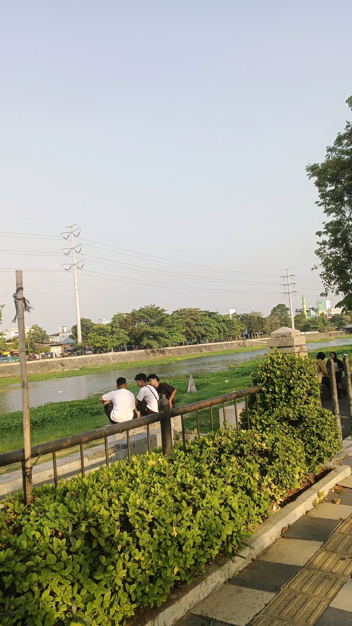 The image depicts a riverside scene in Semarang, Indonesia, likely during the late afternoon or early evening due to the warm lighting. In the foreground, a paved walkway is bordered by a manicured hedge of bright green shrubs. A dark metal fence runs along the edge of the walkway, separating it from a grassy area.
Several individuals are present. On the other side of the fence, three young men are seated on a low concrete barrier, facing away from the camera and towards a river. One is wearing a white t-shirt and black shorts, another a white t-shirt and dark shorts, and the third a dark t-shirt. They appear to be conversing or observing the river. Further to the right, two other individuals, possibly women, are standing further down the walkway, also facing away from the camera.
The river itself is visible, with dense green vegetation growing along its banks. The water is calm and reflects the light. Across the river, a line of trees forms a natural barrier, behind which urban structures are visible, including buildings and what appears to be a mosque with a minaret. A prominent utility pole with multiple cross-arms and electrical wires stretches across the sky. The sky is a clear, pale blue, indicative of a pleasant weather day. A bamboo pole with rope is also visible on the left side of the image, possibly part of the landscaping or a temporary structure.