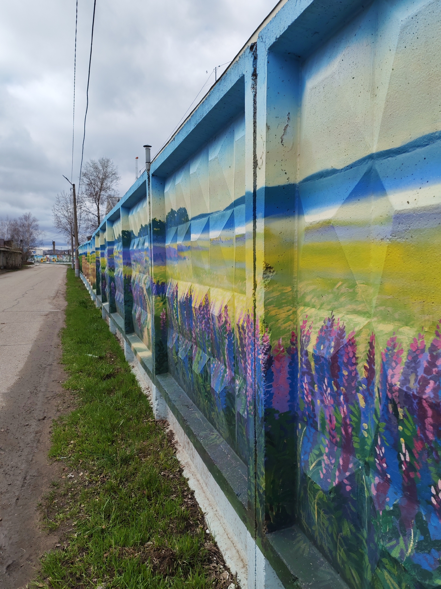 A long concrete fence runs along a street in Chaikovsky, Russia. The fence is painted with a landscape scene, featuring lupine flowers in the foreground, a yellow field in the middle ground, and mountains in the background under a cloudy sky. The fence is blue along the top and bottom edges. To the left of the fence is a dirt path, grass, and a paved road. A tree is visible in the distance, along with buildings and power lines under a cloudy sky.
