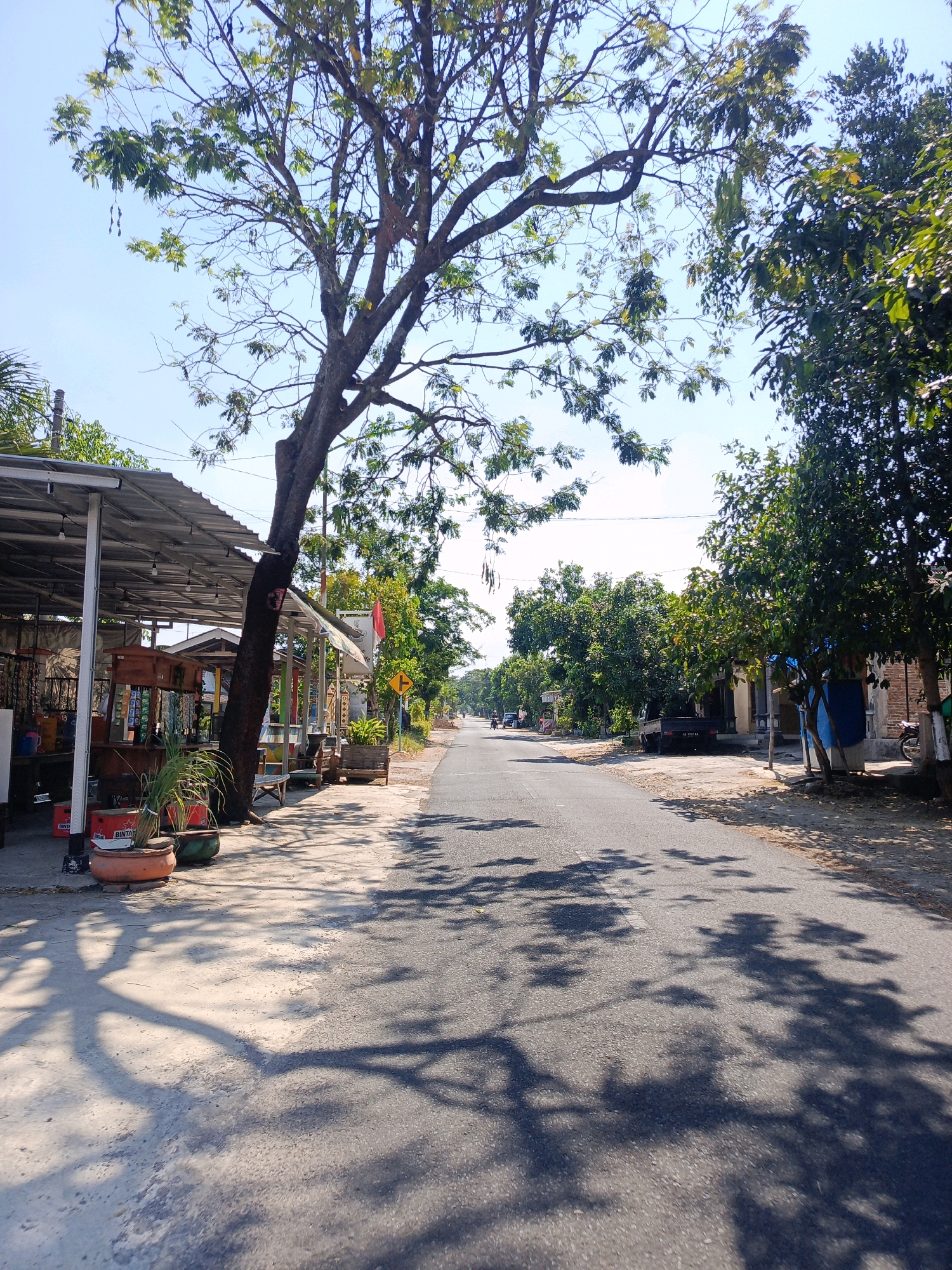The image depicts a street scene in Tamanan, Indonesia, under a clear, bright sky. A paved road stretches into the distance, flanked by trees and buildings. On the left side of the road, there is a small shop or stall with a metal roof supported by poles. A large tree with a thick trunk stands in front of the stall, casting shadows on the ground. Several potted plants are placed along the sidewalk in front of the stall, including one with green foliage. Further down the road, on the right side, are more trees and buildings, some appearing residential. A dark-colored pickup truck is parked on the side of the road, and a red and white flag is visible on a pole. The overall impression is that of a quiet, sunny day in a rural or semi-urban area.