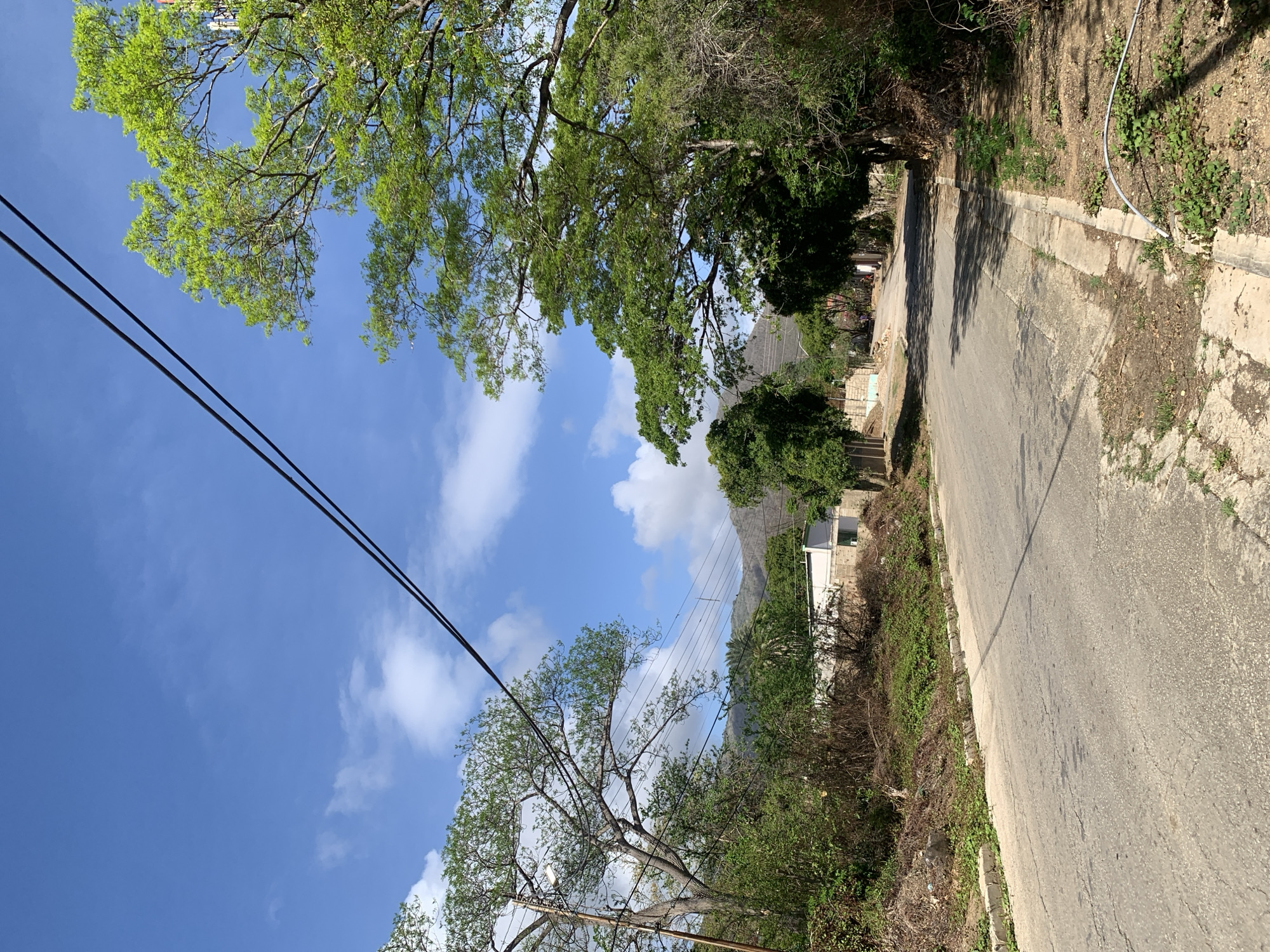 The image depicts a view of a paved road leading into a rural area, likely on the outskirts of Santa Ana, Venezuela. The road is cracked and weathered, with a concrete curb and drainage channel on the right side. The surrounding environment is lush and overgrown with various trees and vegetation. In the distance, a white building with a green trim can be seen, suggesting a residential or agricultural structure. Power lines stretch across the sky, supported by wooden poles on the left side of the road. The sky is a clear blue with scattered white clouds. The scene appears tranquil, with no discernible human activity in the immediate foreground. The overall impression is one of a developing or semi-rural landscape, characteristic of some areas in Santa Ana.