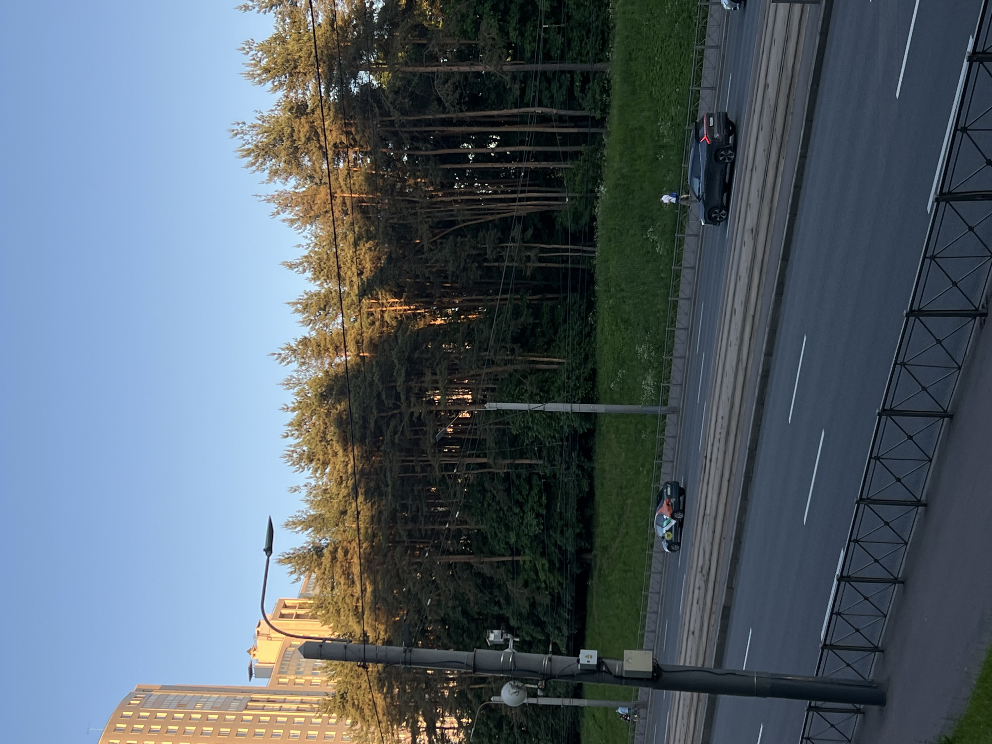 This image depicts an urban scene in Saint Petersburg, Russia, under clear blue skies, likely during late afternoon or early evening given the quality of light. In the foreground, a dark metal fence with a geometric pattern is visible, separating the viewer's vantage point from a multi-lane asphalt road. The road features white lane markings and a set of tram tracks running longitudinally through its center.
Several vehicles are present on the road: a dark-colored sedan or hatchback with distinct green, orange, and white livery on its side is visible on the left lanes, moving away from the viewer. Further to the right, a dark grey SUV is also moving away from the viewer. A partial view of another vehicle is visible at the extreme right edge.
Parallel to the road, beyond a grey barrier, a sidewalk or paved path is visible. Two individuals in light clothing are walking on this path near the left side of the frame. A third individual, wearing a white shirt and dark pants, is also walking on a similar path further to the right.
Behind the road and sidewalk, a gentle green grassy slope ascends towards a dense stand of tall pine trees, forming what appears to be a forest or large park. The tops of these trees are illuminated by sunlight, giving them a warm, golden hue, while areas beneath the canopy are in shadow.
On the far left, a tall, multi-story building with a light-colored, possibly beige or cream, facade and numerous windows dominates the skyline. It exhibits a curved architectural feature on its left side. Another building is partially visible behind it.
A prominent grey utility pole with multiple attached boxes, wires, and a streetlamp extends vertically in the left-center of the image. Another streetlamp is visible further right, positioned between the road and the tree line. The overall environment suggests a well-maintained urban area adjacent to a significant natural green space.