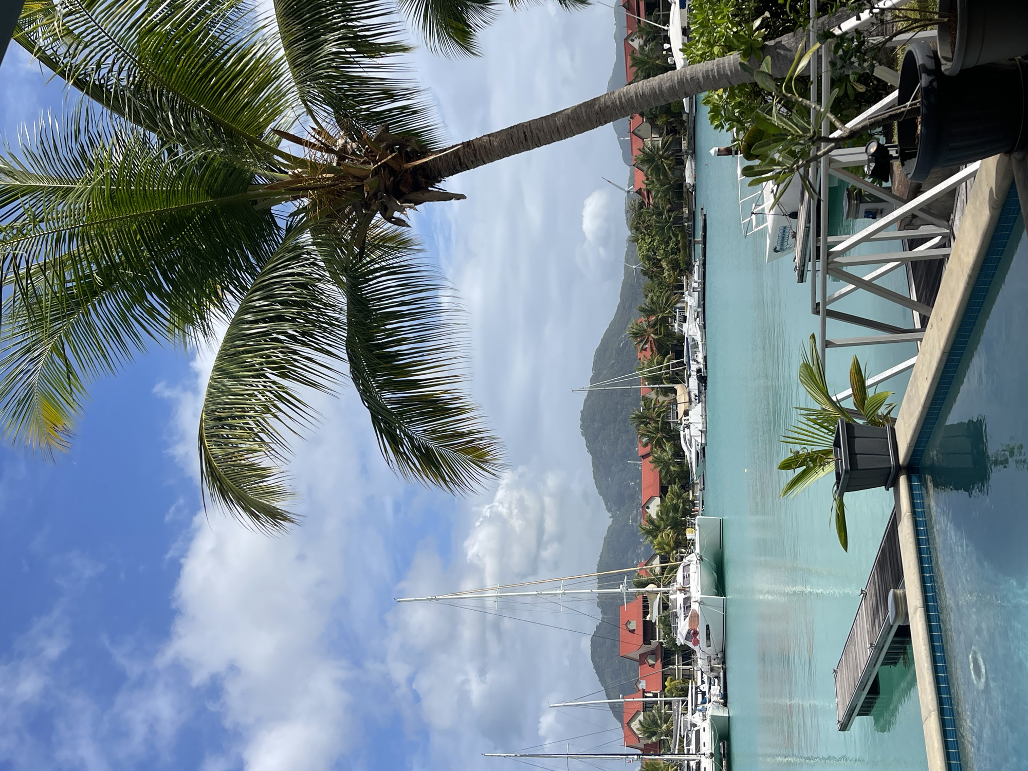 The image depicts a waterfront scene in Providence, Seychelles, on a partly cloudy day. In the foreground, the edge of a swimming pool with blue tiling is visible, with a light-colored railing and potted plants to the right. A wooden jetty extends into the clear turquoise water from the left side of the frame. Several white sailboats and catamarans are moored in the water, with their masts reaching towards the sky. Behind the boats, buildings with distinctive red-tiled roofs are visible, surrounded by lush green palm trees and vegetation. In the background, rolling green hills, characteristic of the Seychelles landscape, rise under a blue sky dotted with white clouds. A large palm tree with green fronds dominates the right side of the image, partially obscuring the view.