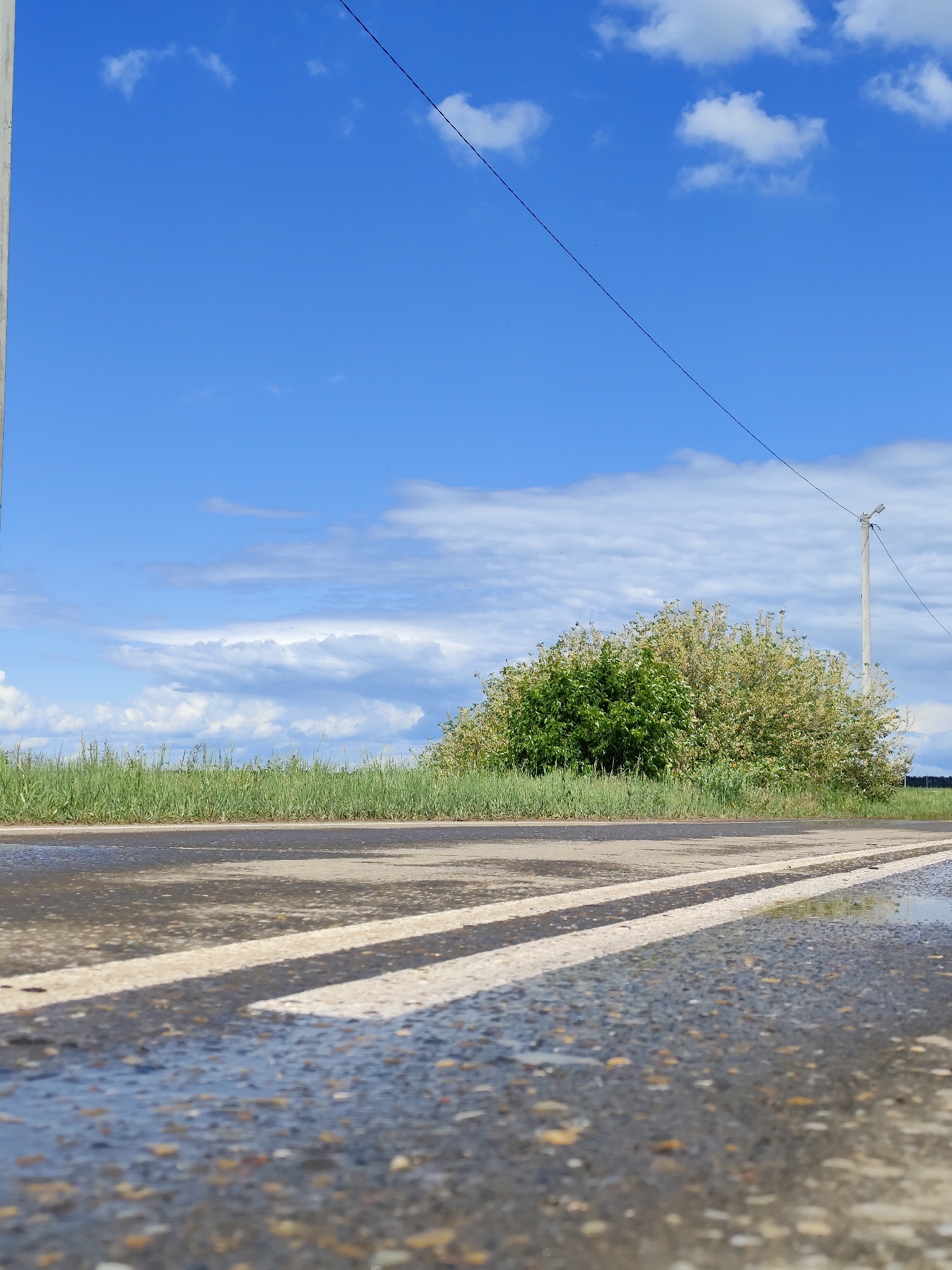 The image depicts a wet asphalt road in the city of Фоки, Russia. The road has two solid white lines painted on it. Adjacent to the road is a grassy area with a large bush. Utility poles and power lines are visible in the background against a blue sky with clouds. The foreground shows the texture and wet surface of the road in detail.