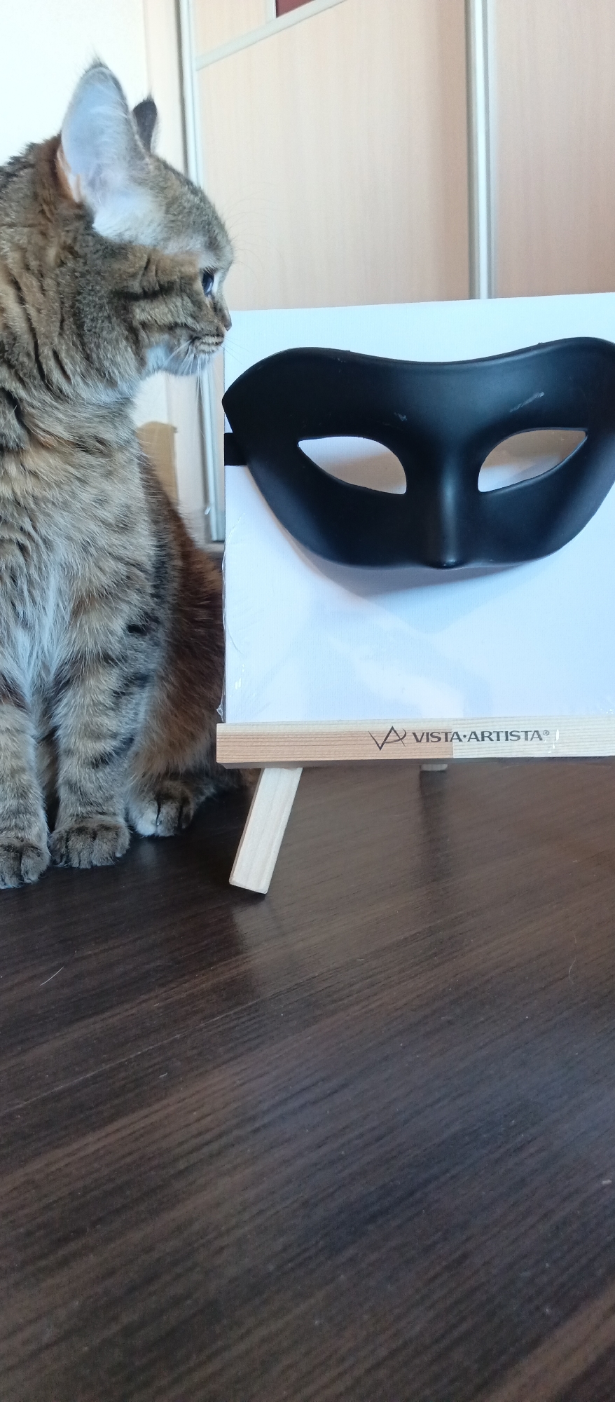 A tabby cat sits on a dark wood-look floor next to a small easel holding a white canvas with a black mask. The easel reads "VISTA ARTISTA" on its frame. The cat is turned to the side, looking towards the easel. Behind the easel are light-colored closet doors. The location is Unknown, Unknown.