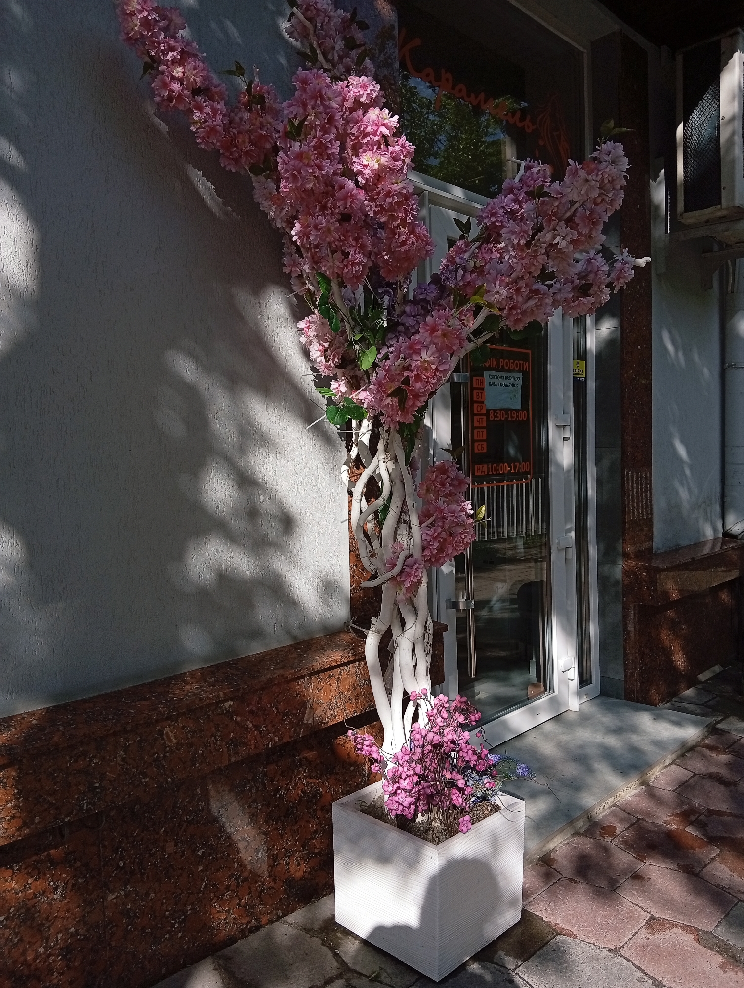The image captures a shopfront in Poltava, Ukraine, featuring an artificial tree with pink blossoms in a white pot. The shop’s hours of operation are displayed in a sign on the door: Monday and Tuesday, it appears the hours are 8:30-19:00. Saturday hours are 10:00-17:00. The shop's exterior is finished with a dark red granite base. The pavement is brick.