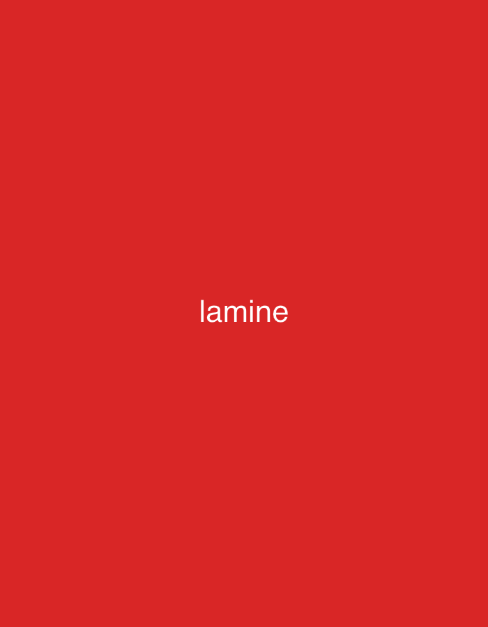 The image displays a plain, solid red background. Centered on this red field, the word "lamine" is written in white, sans-serif, lowercase letters. There are no other visible subjects, objects, or a discernable scene or setting. No activity or event is taking place. The image lacks any specific details regarding time of day, weather, or location cues that would place it in Ihtiman, Bulgaria, or any other real-world location. The simplicity of the image suggests a minimalist or abstract design, focusing solely on the text against the bold red backdrop.