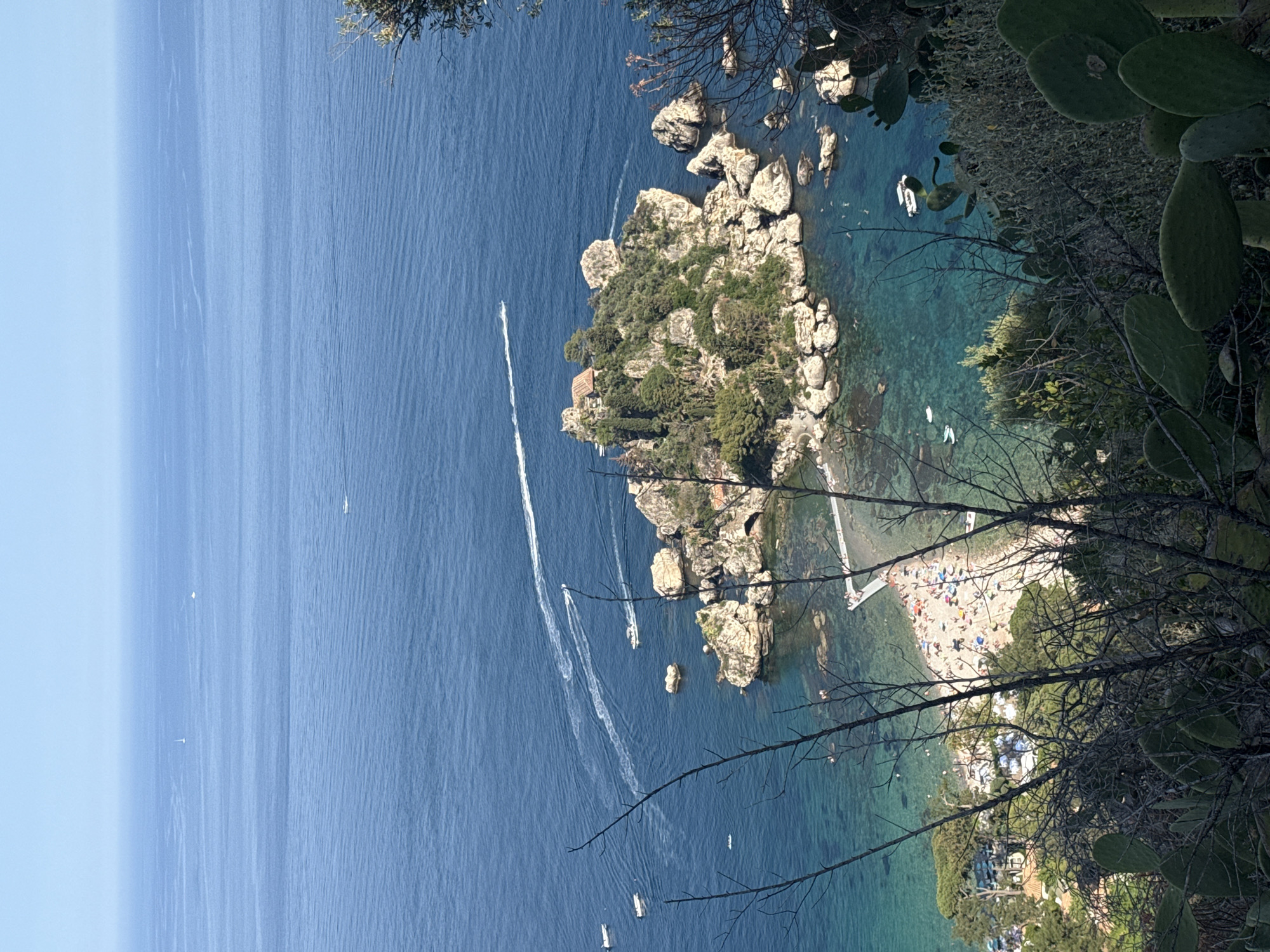 This high-angle image captures Isola Bella, a small island in the Ionian Sea, off the coast of Taormina, Sicily, Italy. The scene is dominated by a vast expanse of blue ocean, transitioning from deep indigo in the distance to clear turquoise near the shore. The sky above is a pale, hazy blue, meeting the distant horizon.
Isola Bella, centrally located, is a rocky islet covered extensively with dense green vegetation, including trees and shrubs. A small, rust-colored tiled roof of a building is visible amidst the foliage on the island. The island is surrounded by numerous light-colored rock formations and is connected to a mainland beach by a visible, narrow sandbar.
The beach, situated in the lower-left to mid-lower portion of the frame, is densely populated with numerous small figures of people. Many colorful beach umbrellas are visible, indicating a crowded leisure area. A white pier or walkway extends from the beach into the shallow, clear water.
Several boats are present in the water. In the mid-ground, at least three motorboats are in motion, generating distinct white wakes across the water. One boat is moving from right to left, another diagonally towards the upper left, and a third is further out. Closer to the shore and around the island, several smaller, stationary boats are visible. Two sailboats appear as faint white specks on the distant horizon.
The foreground is framed by dark, gnarled branches of dormant or dry vegetation, partially obscuring the view. Prominent prickly pear cactus pads with flat, green segments are visible in the lower-right and lower-left, indicating the nature of the immediate hillside environment.