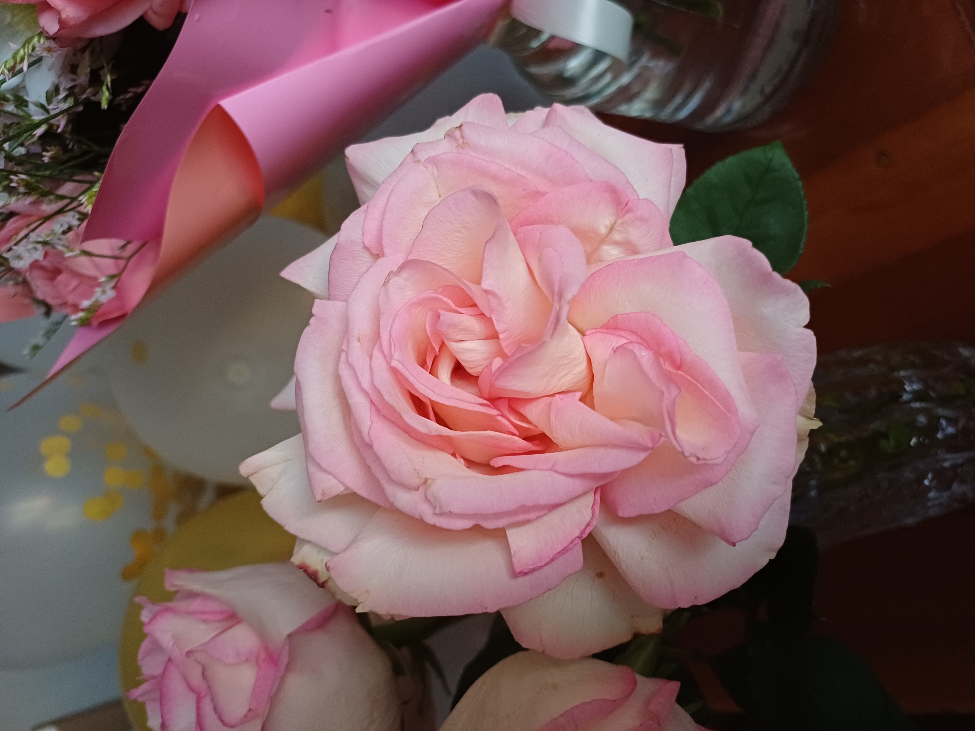 A close-up, eye-level shot captures the delicate beauty of a pale pink rose in full bloom. Its petals, ranging from a soft white at their edges to a vibrant blush pink towards the center, are layered and unfurling gracefully. The rose is set against a backdrop that suggests a celebratory setting, with out-of-focus balloons and a bouquet of flowers wrapped in pink paper visible. The overall impression is one of softness and elegance. The scene is situated in an indoor environment, likely a home or event space, given the presence of decorations. There are no people present in the frame.