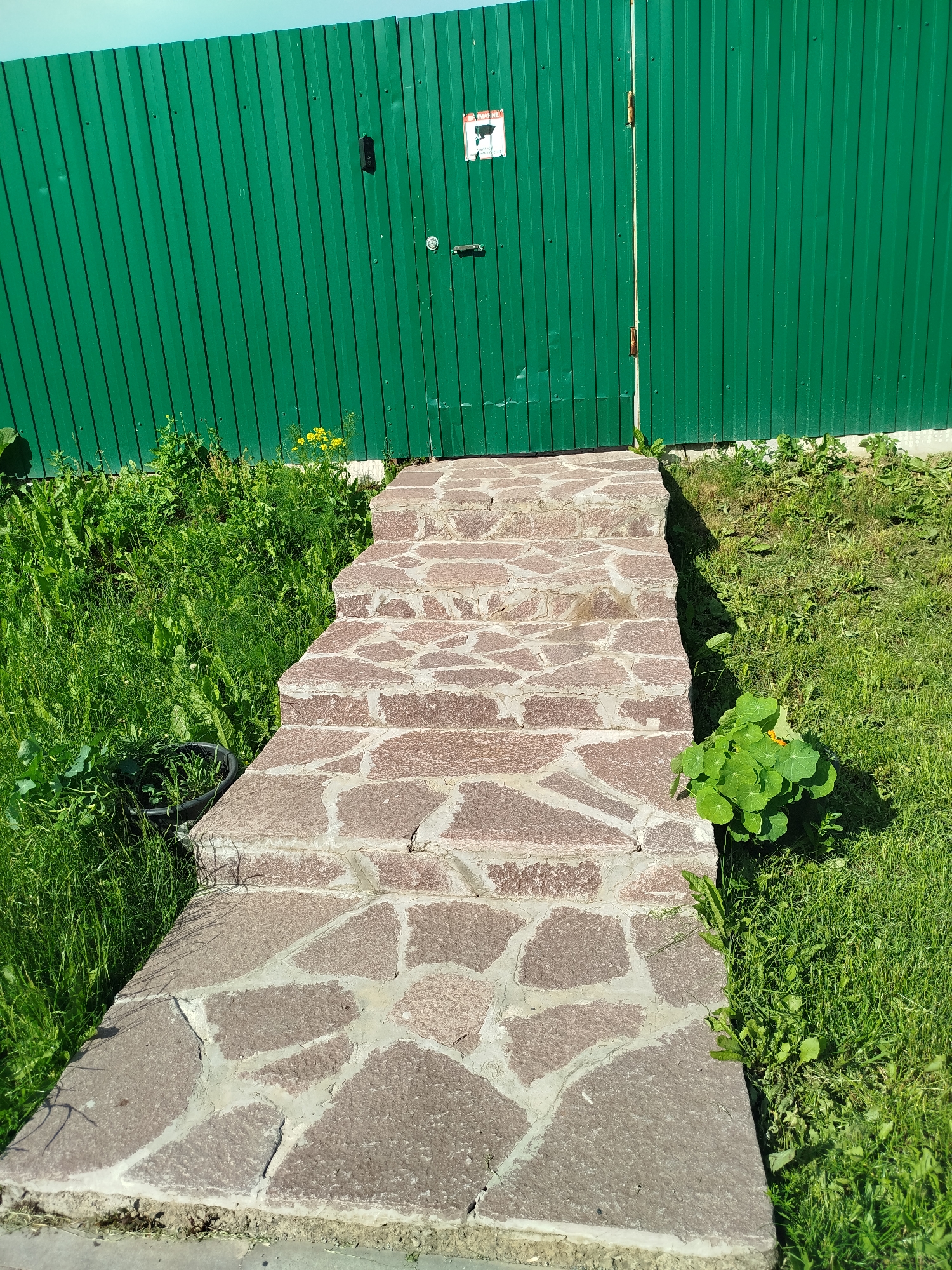 This image captures a sunny outdoor scene, likely in Yekaterinburg, Russia, featuring a stone pathway leading to a green corrugated metal gate. The pathway is composed of irregular, flat stones set with grout, creating a rustic and charming look. It ascends a gentle slope, bordered by lush green grass and vegetation on either side.
To the left of the path, dense green plants and weeds grow, with a black plastic object, possibly a planter or a garden tool, partially visible among them. Yellow wildflowers dot the greenery near the gate.
The gate itself is a vibrant green, with vertical corrugated panels. It appears to be a double gate, with hinges visible. On the left gate panel, a black object, likely a handle or lock mechanism, is mounted. Higher up on this panel, a small white sign with red text and a symbol is affixed. The text on the sign is partially visible and appears to be warning or instructional. The overall impression is a functional but aesthetically pleasing entrance to a property, bathed in the bright light of a clear day. The shadows suggest it is midday or early afternoon.