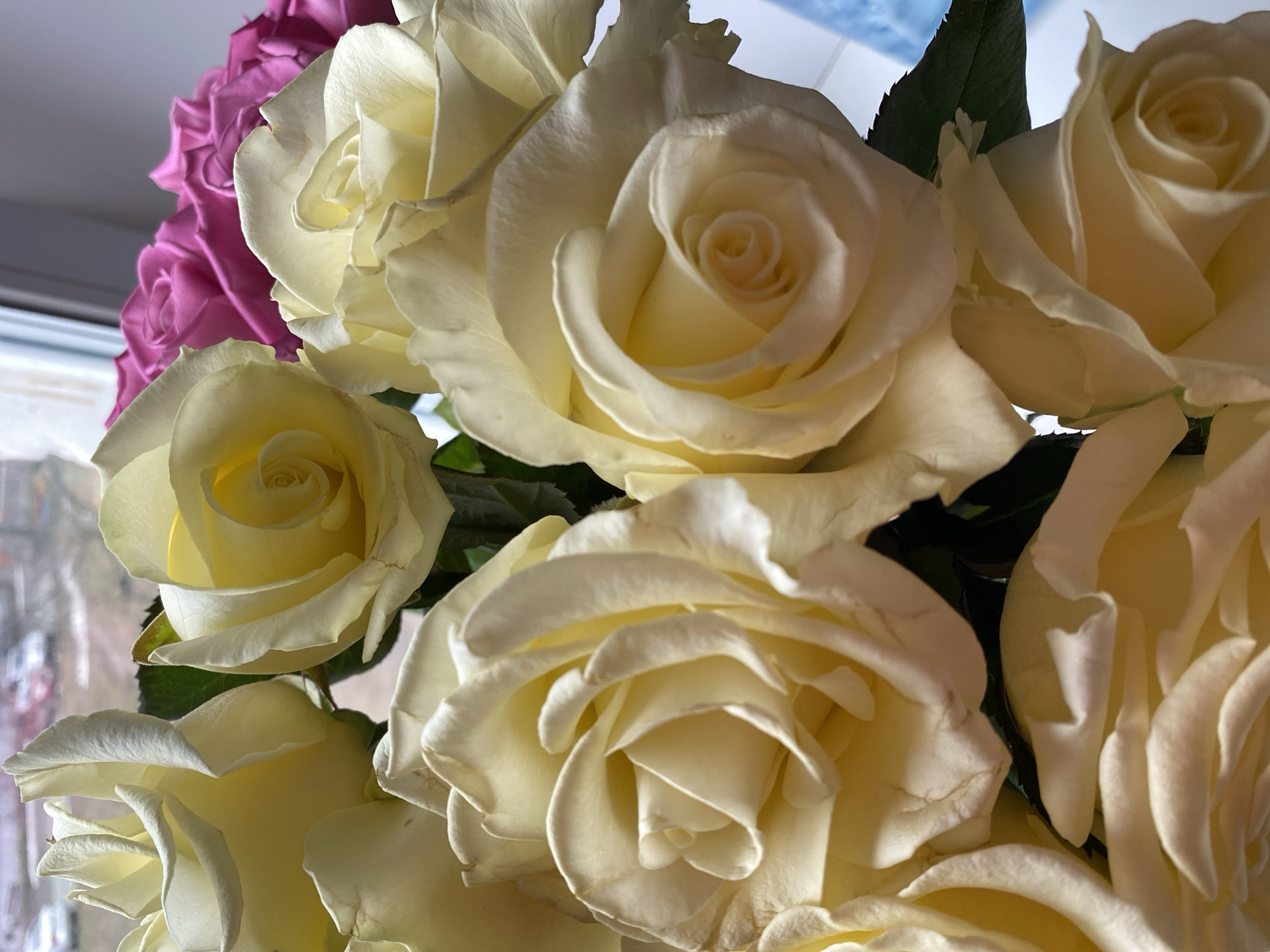 A close-up view of a bouquet of roses. Most roses are white with a hint of yellow. One group of roses on the left side is bright pink. Some green leaves are visible. The image was taken indoors, with part of a window visible in the upper right corner. There is no evidence to suggest this image was taken in Votkinsk, Russia. There are no people or actions visible in the image.