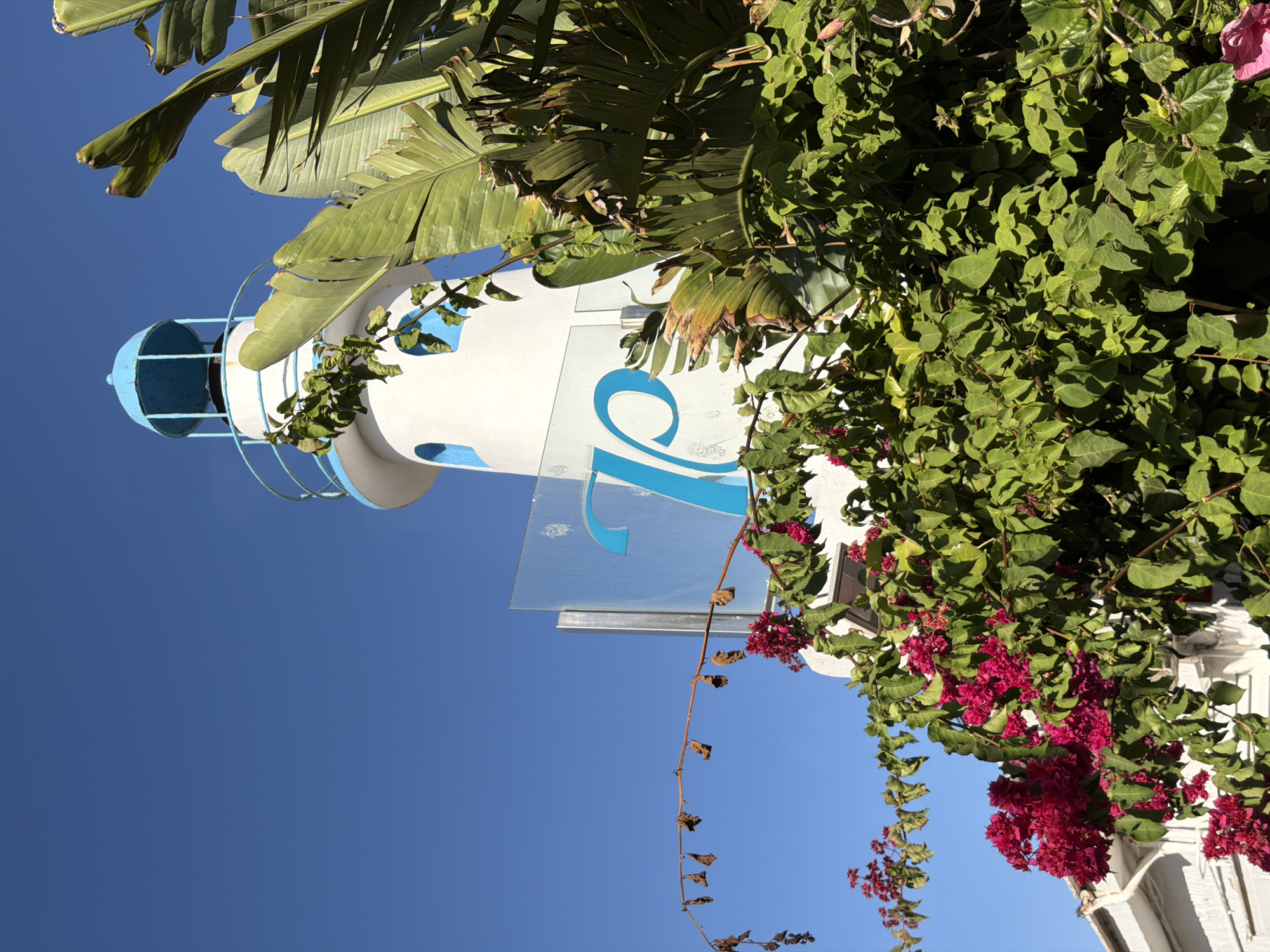 The image captures a bright, sunny day with a clear blue sky. In the center, a white lighthouse-like structure with a blue top stands tall, adorned with a blue graphic of the letter "p" on its side. Lush green foliage and vibrant pink bougainvillea flowers surround the base of the structure, with large, tropical leaves from what appears to be a bird of paradise plant framing the right side of the lighthouse. A clear glass sign with the same blue "p" graphic is visible in front of the lighthouse. The bottom left of the image shows a portion of a white building. This scene is located at the entrance of "La Pappardella" restaurant in Estepona, Spain. There are no people visible in the image.