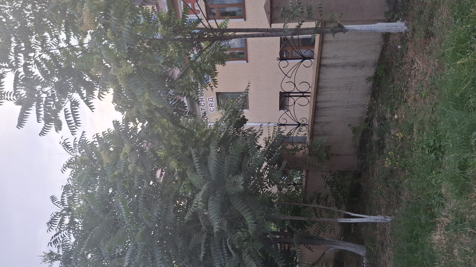 The image shows a close-up view of trees with green leaves, obscuring much of the background. To the right of the trees, a building with a beige-colored facade is partially visible. The building has several windows with dark frames, and a decorative wrought-iron railing is mounted on the facade. Some text is visible on the building facade in Cyrillic script, which appears to read "ДЕТСКИЙ САД" (Detskiy Sad), meaning "Kindergarten." The building's foundation and a concrete wall are also visible. The ground in front of the building is covered with grass and dry vegetation. The lighting suggests it is daytime, possibly overcast or late afternoon given the soft light. The orientation of the image is vertical. The overall scene appears to be an outdoor setting in a residential or institutional area.