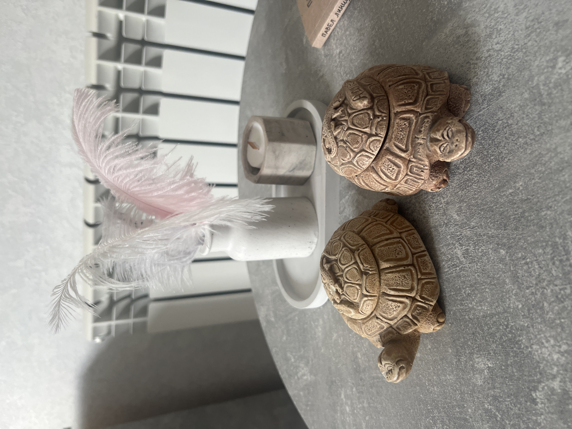 The image shows a close-up of two decorative ceramic turtle figurines with hinged lids on a grey, textured surface, possibly a table. The figurine on the left is facing left with its head slightly turned towards the viewer. The figurine on the right is facing forward with a smiling expression. Both turtles have detailed shells. In the background, a white vase holds a few white and pink feathers. Next to the vase is a hexagonal concrete candle holder with a lit candle. A book with Cyrillic text is visible on the right side of the frame. The background also shows a white radiator and a wall with a textured finish. The setting appears to be an indoor domestic environment. The image does not provide any information about Lyudinovo, Russia.