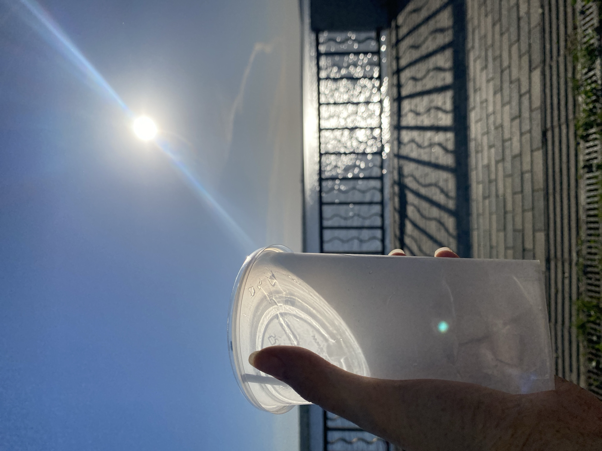 A photograph taken in what appears to be a park in Votkinsk, Russia, shows a hand holding a translucent plastic cup up to the sun. The sky is blue and clear. The cup is positioned against the sun, which is emitting a bright glare and lens flare. Behind the hand and cup, in soft focus, is a decorative metal railing, a walkway paved with bricks, and some vegetation.