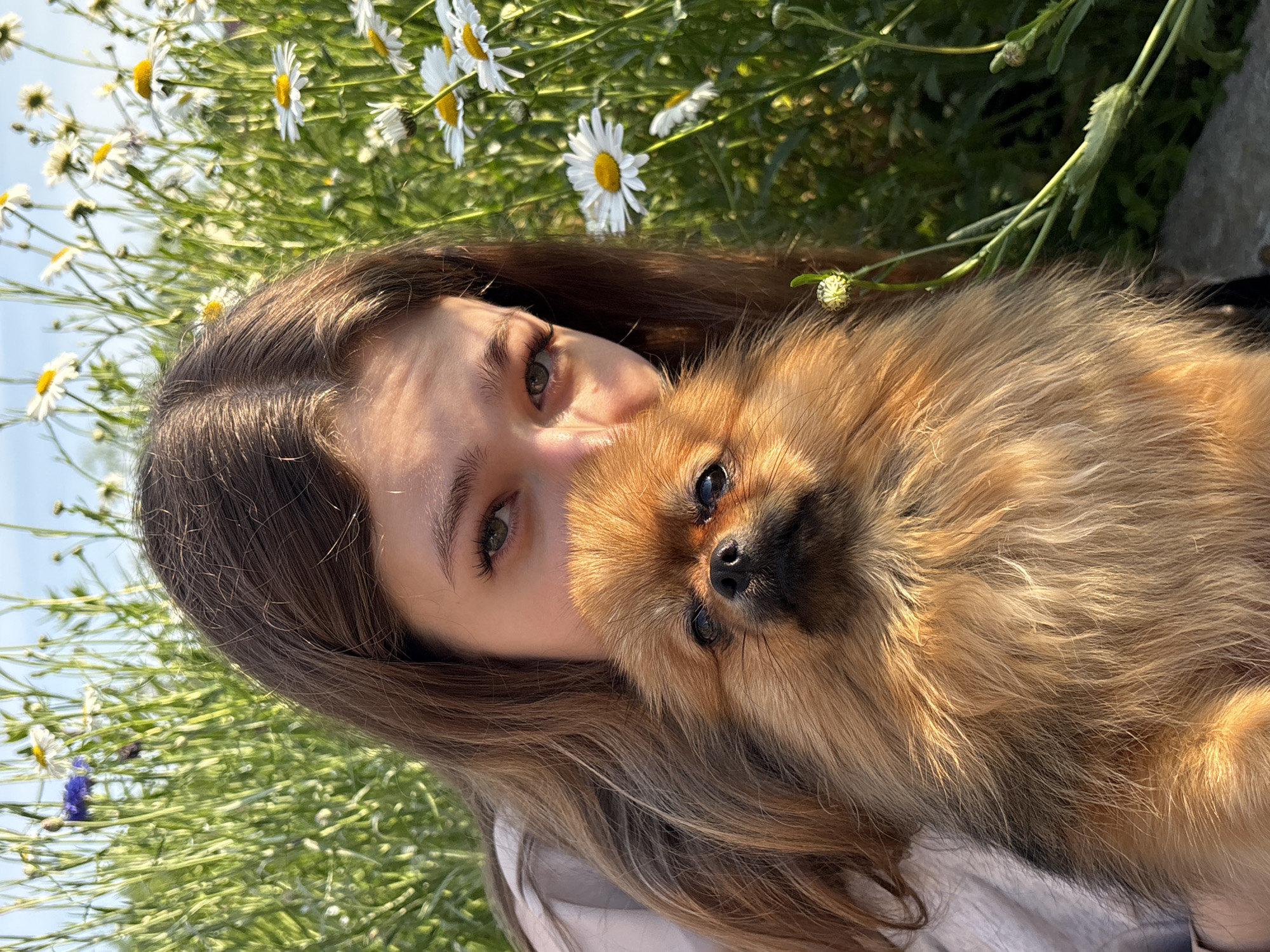 A young woman with long brown hair is embracing a fluffy orange Pomeranian dog in a field of daisies and tall green grass under a clear sky. The woman's face is partially obscured by the dog, but her green eyes and eyebrows are visible. She is wearing a light-colored top. The dog is looking directly at the camera. The scene appears to be outdoors in a rural or natural setting. This image was captured in Razdolnoye, Russia.