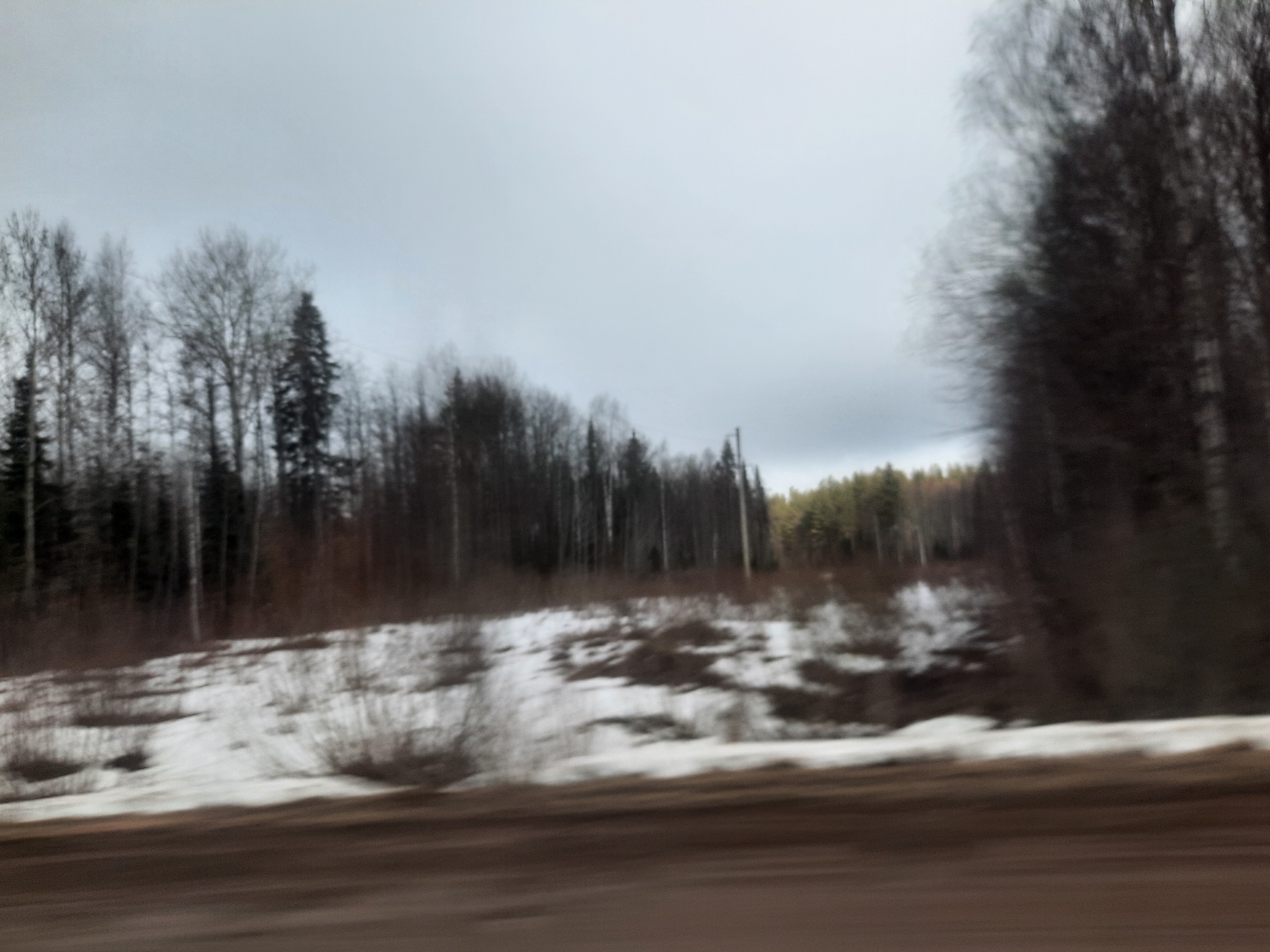The image depicts a blurry, overcast landscape with patches of snow on the ground. The foreground is a brown, indistinct surface, likely a road. Beyond this, a strip of land is visible with remaining snow cover and small, leafless bushes. A line of trees, some bare and some evergreen, extends into the distance. The sky is uniformly gray and overcast. The location is likely near Архангельское, Russia, suggested by the landscape.