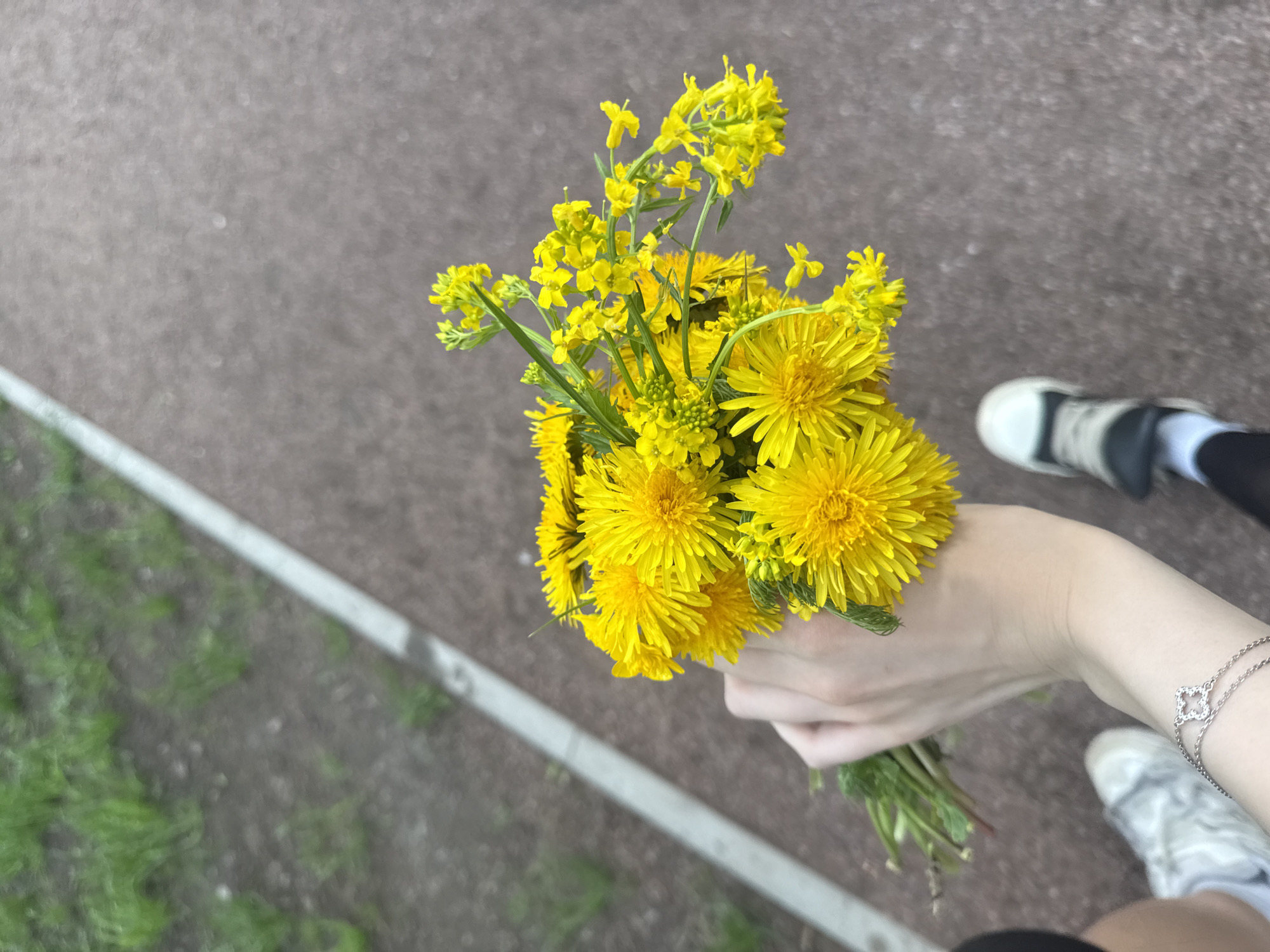 A high-angle, outdoor shot shows a person holding a bouquet of yellow flowers, likely dandelions and rapeseed, in Saint Petersburg, Russia. The person's hand is visible, adorned with a delicate, silver bracelet, holding the green stems of the flowers. Parts of the person's footwear—a black and white shoe and black leggings or pants—are visible in the upper right corner. The background consists of a section of pavement, bordered by a curb. The pavement shows a mottled texture and color. Based on the visible elements, the location seems to be a walkway or path in a park or urban green space within Saint Petersburg, Russia.