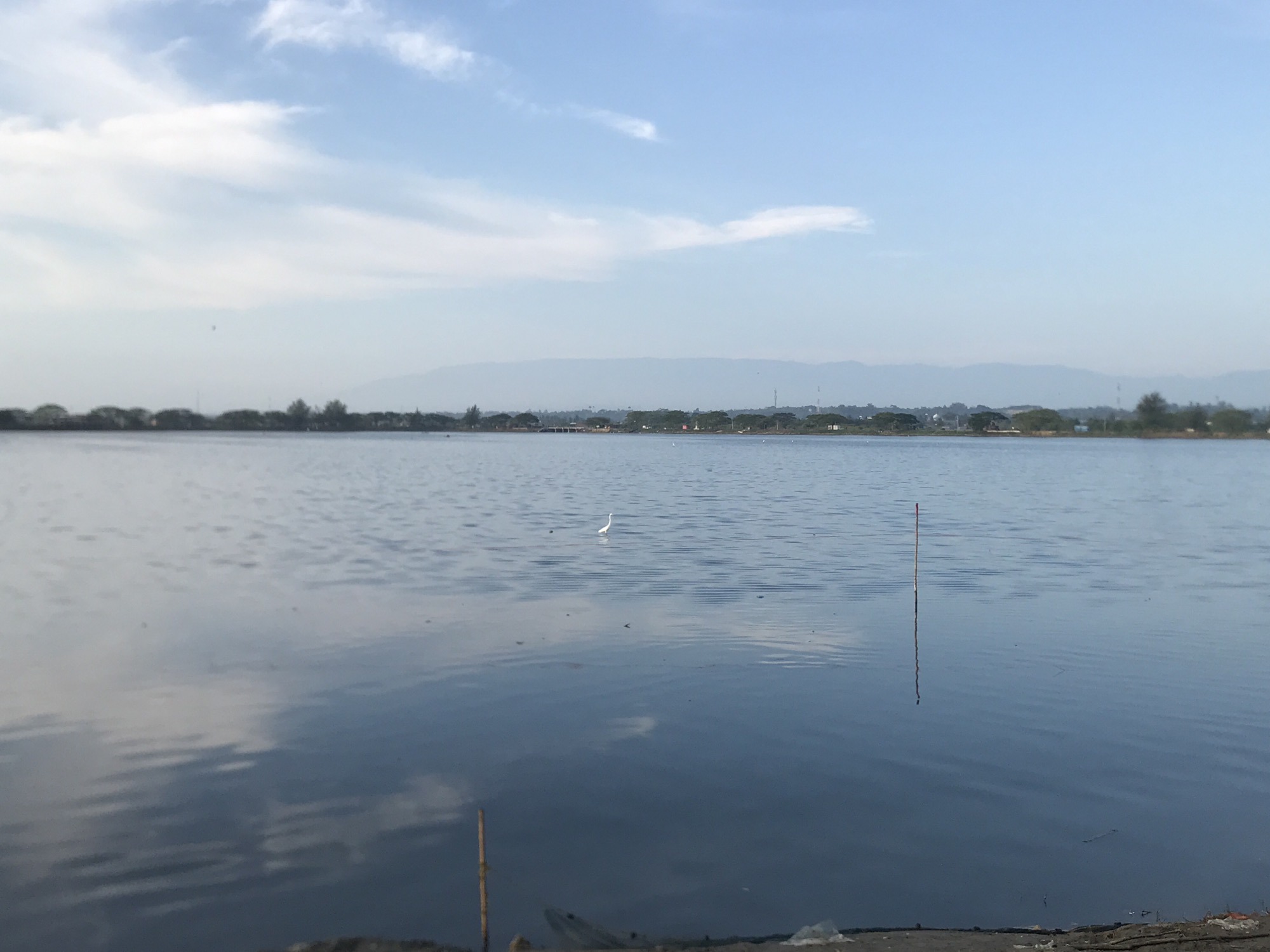 The image displays a serene landscape featuring a vast body of calm water under a soft, partly cloudy sky. The setting appears to be a large lake or lagoon in Lhokseumawe, Indonesia.
The primary subjects are the expanse of water, the sky, and a distant landmass. The water surface is relatively still, reflecting the light blue sky and soft white clouds. Towards the center-left of the water, a lone white bird, likely an egret or heron, stands upright. Near the lower right edge, a slender, reddish pole protrudes vertically from the water, casting a reflection. The very bottom edge of the frame suggests a concrete or rocky bank.
In the mid-ground, a distant shoreline is visible, featuring a line of trees and some indistinct structures, hinting at human presence or development. Further beyond this landmass, a range of hazy mountains stretches across the horizon.
The sky is a clear light blue with scattered, wispy white clouds, suggesting pleasant weather. The overall lighting indicates either late morning or early afternoon, contributing to the tranquil mood of the scene. No specific human activity is evident. The image evokes a sense of peace and natural beauty. There is no visible text in the media file.