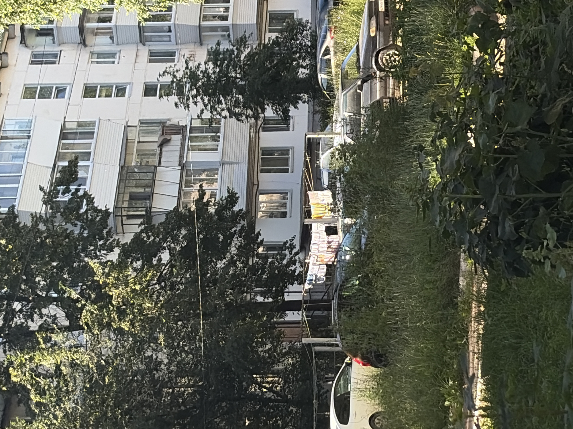 In Chaikovsky, Russia, on a sunny day, a residential building's facade is visible, featuring multiple floors with balconies and windows. In front of the building, a clothesline is strung with laundry, and several cars are parked amidst overgrown grass and vegetation. A white car is on the left, with a dark-colored sedan visible further back on the right. The environment suggests a typical urban residential area with a focus on community living and practicality.