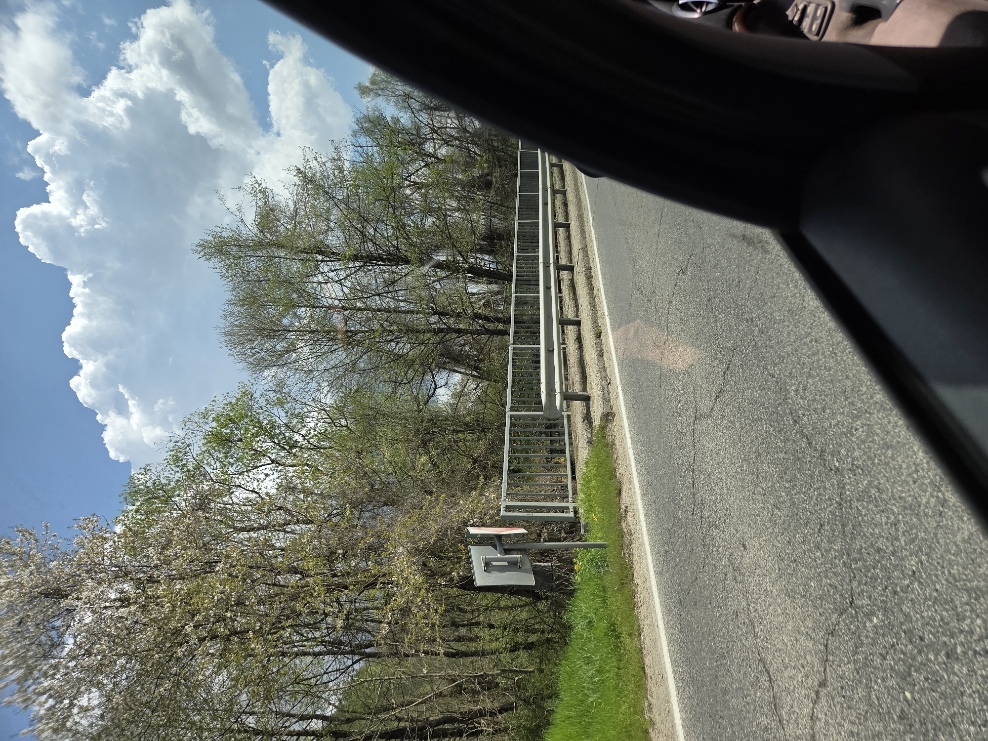 The image depicts a view from inside a vehicle, likely a car, driving alongside a road in Dalbok Dol, Bulgaria. The road is gray asphalt with cracks and a white painted edge line. A silver metal guardrail separates the road from a green grassy verge. Beyond the verge is a line of trees with blooming white blossoms. The sky is visible through the trees and shows a blue sky with large, puffy white clouds. Part of the vehicle's interior, including the dashboard and possibly a hand, is visible in the foreground.