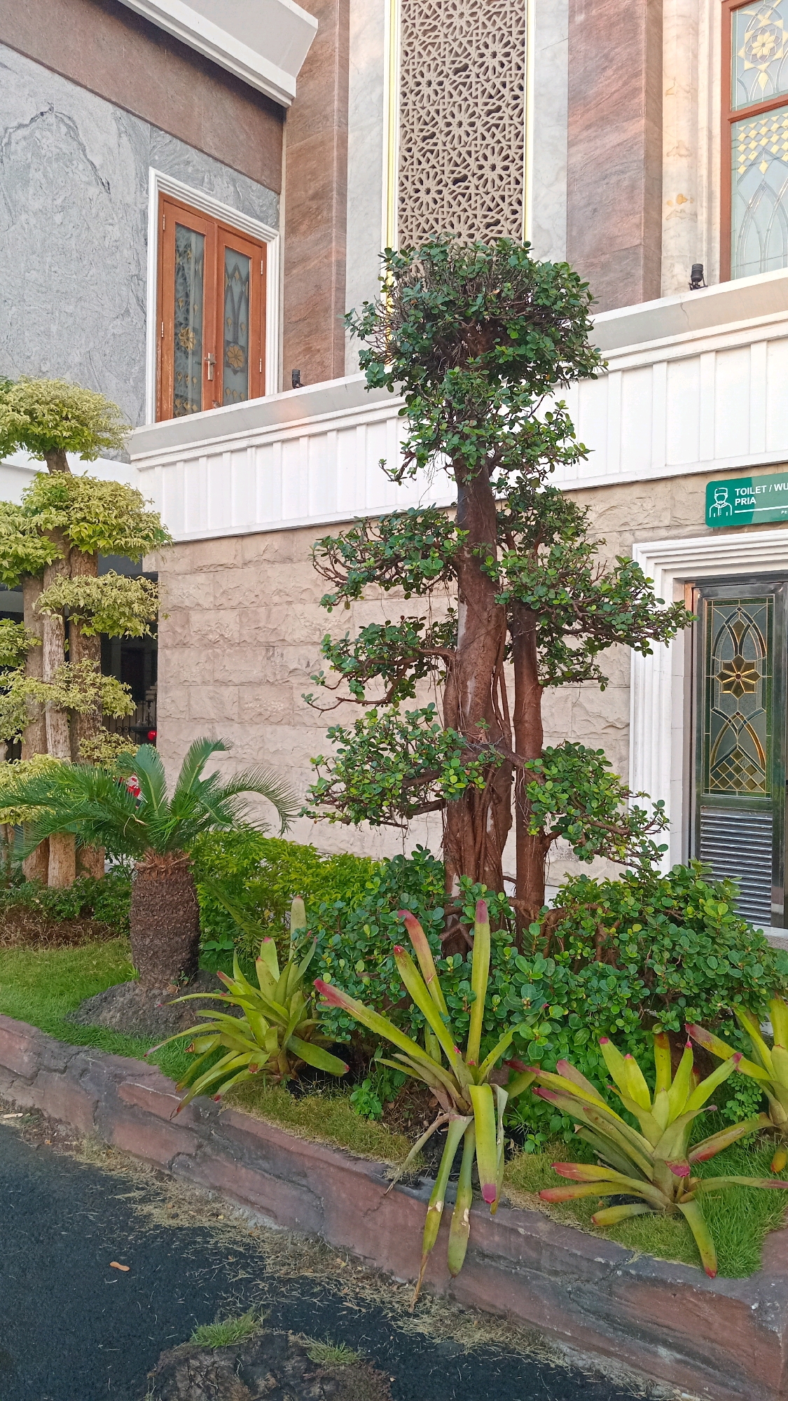 In Manyarsidomukti, Indonesia, the image captures an exterior view of a building with distinctive architectural features. The building's facade is adorned with a patterned stone, and features a large, ornate window and a smaller wooden door with decorative glass. Beside the building, a variety of plants are arranged in a landscaped area. A prominent, mature bonsai tree with thick, gnarled trunks stands in the center, surrounded by smaller green shrubs and bromeliad plants with reddish-tipped leaves. To the left, another bonsai tree with lighter foliage is visible, along with a small palm tree. A sign indicating a "TOILET/WUDHU PRIA" is affixed to the wall near a large, decorative metal door. The ground in front of the landscaping is paved with asphalt, with a decorative concrete border separating it from the garden. The lighting suggests it is daytime, possibly late afternoon, given the shadows. There are no people visible in the image.