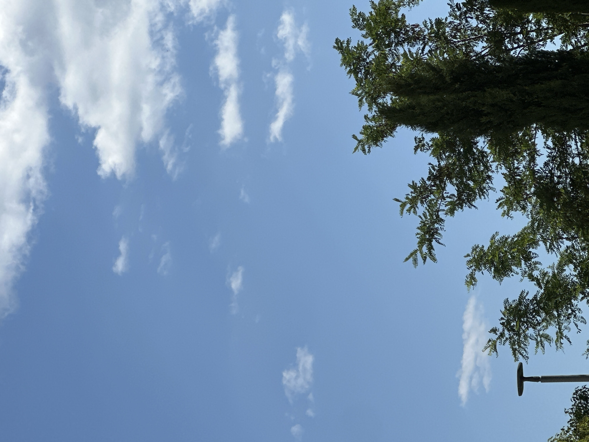 The image shows a clear blue sky with scattered white clouds. In the foreground, there are several trees with green foliage. On the left side of the image, a dark gray lamppost is visible. The scene appears to be outdoors, possibly in a park or a residential area. The lighting suggests it is daytime, with the sun illuminating the sky and trees. This image was taken in Bečići, Montenegro.