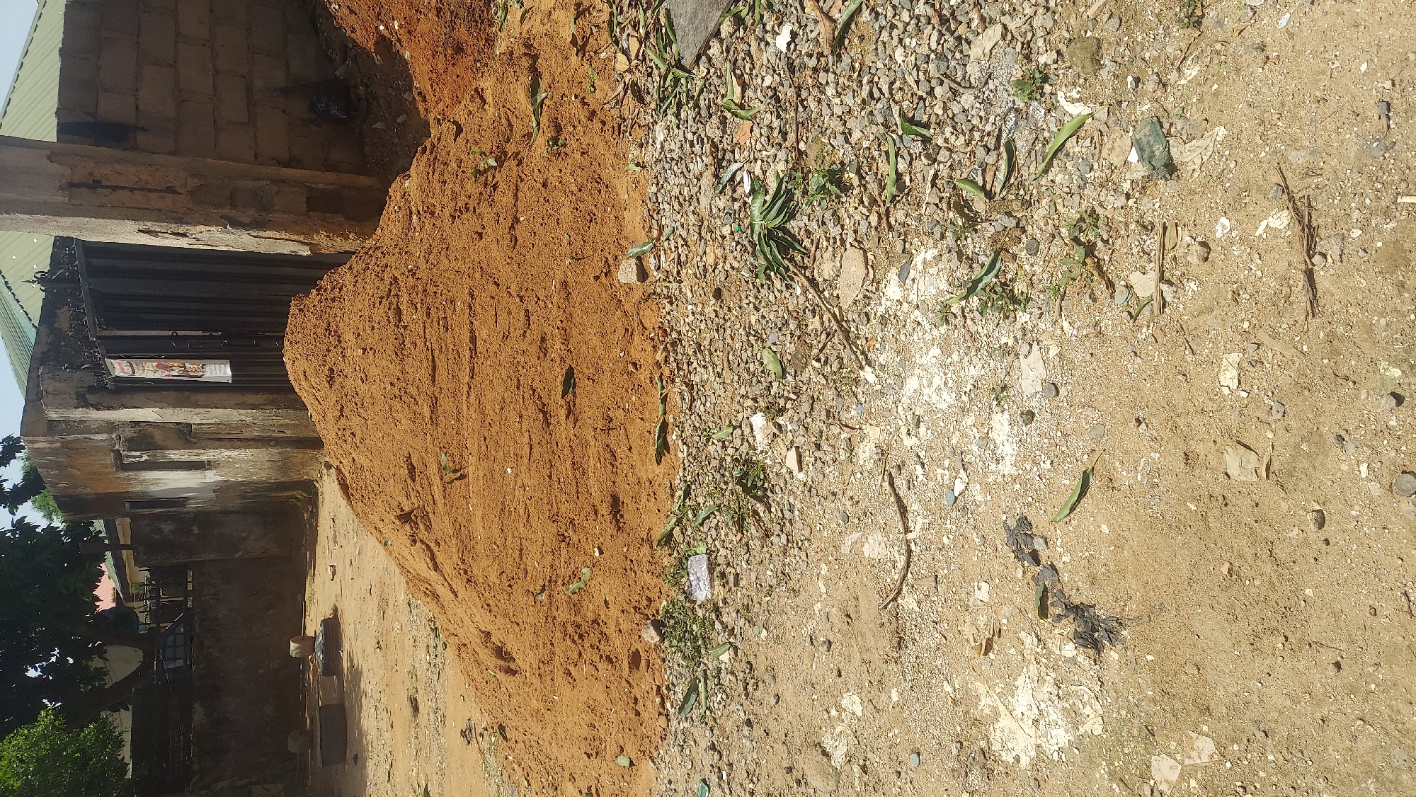 This media file shows an outdoor scene in Abuja, Nigeria, under natural daylight, likely in the morning or afternoon given the brightness. The image is oriented vertically, with the top of the scene on the left.
The primary subjects are a large pile of reddish-brown sand and a section of an unpaved ground surface covered with gravel, sand, and debris. The sand pile is dominant in the left half of the image, appearing to be a construction or landscaping material. The ground on the right is a mix of small stones, dirt, and scattered organic matter like dry leaves and blades of grass. There are also some pieces of broken glass and other miscellaneous refuse visible on the ground.
In the background, on the left side of the image, is a building with a weathered, possibly concrete or brick facade. It has a metal gate or fence in front of it, behind which some signage is visible, though the text is too blurry to read. The building's roof appears to be made of corrugated metal. A tree with green foliage is partially visible to the left of the building.
There is no discernible activity or event taking place; the scene appears to be static. The overall impression is one of an unkempt outdoor area, possibly on the outskirts of a developed area or a construction site. The lighting suggests a sunny day. No people are visible in the media file.